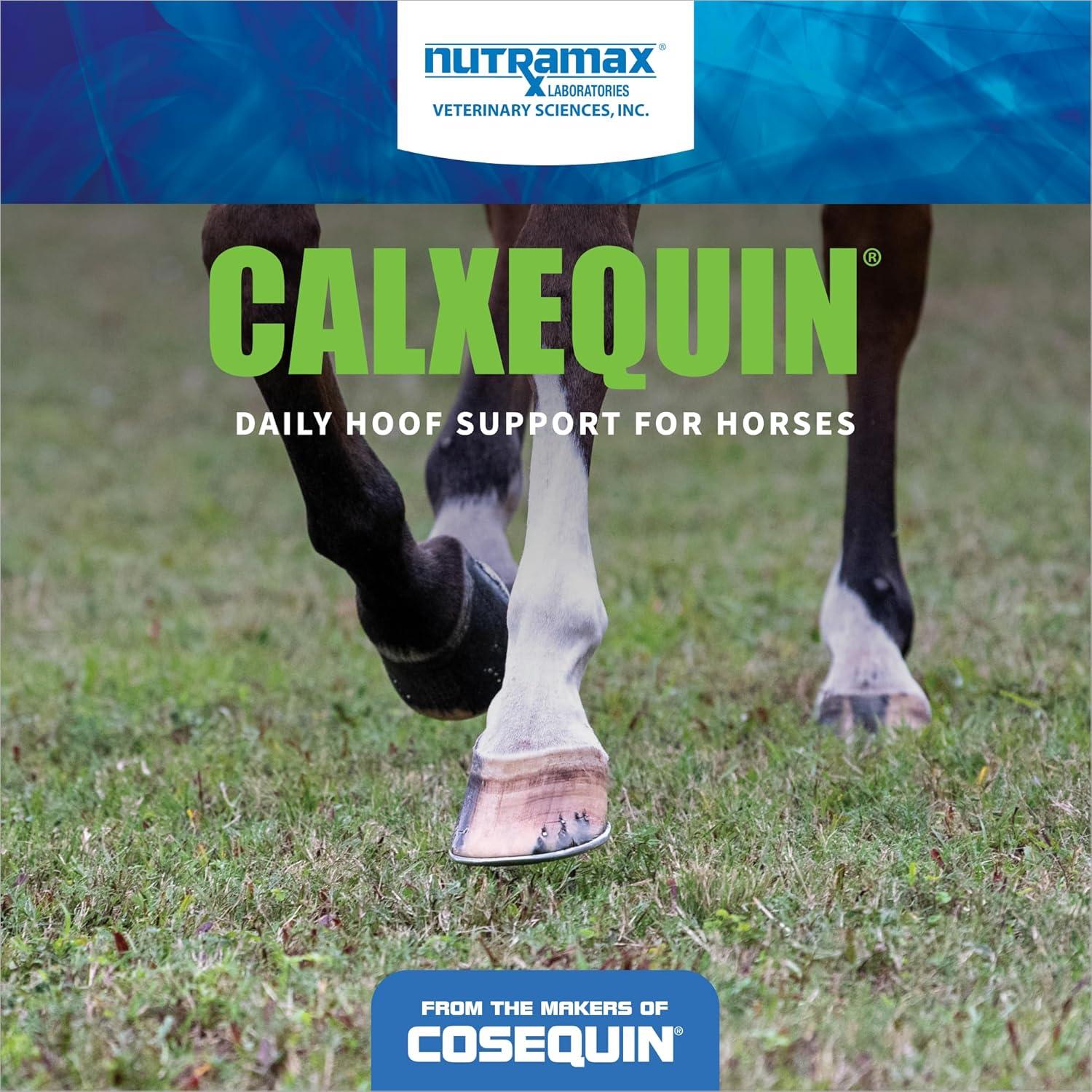 image:imageNutramax Calxequin Pellets Daily Hoof Support for Horses with Biotin Vitamin E amp Selenium 1260 Grams from The Makers of Cosequin