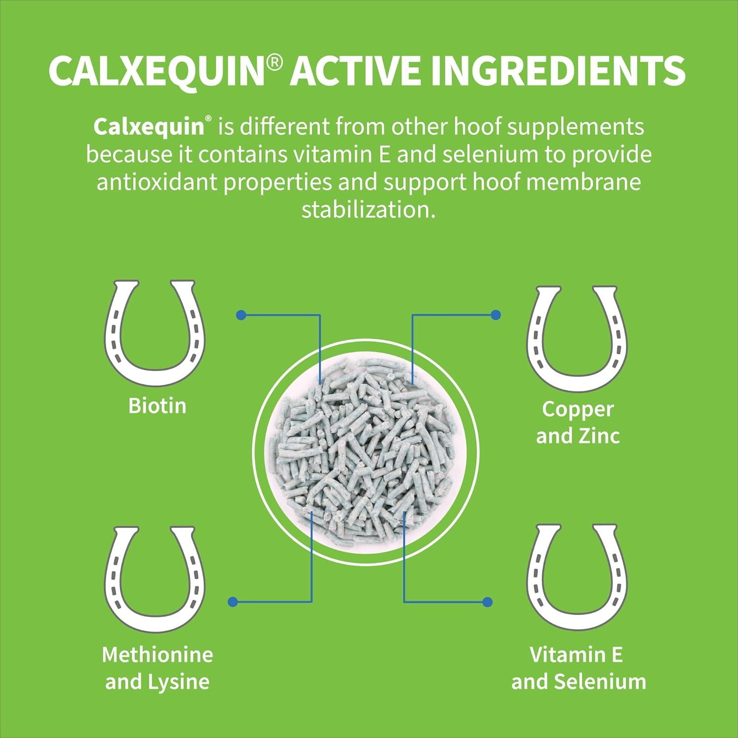 image:imageNutramax Calxequin Pellets Daily Hoof Support for Horses with Biotin Vitamin E amp Selenium 1260 Grams from The Makers of Cosequin