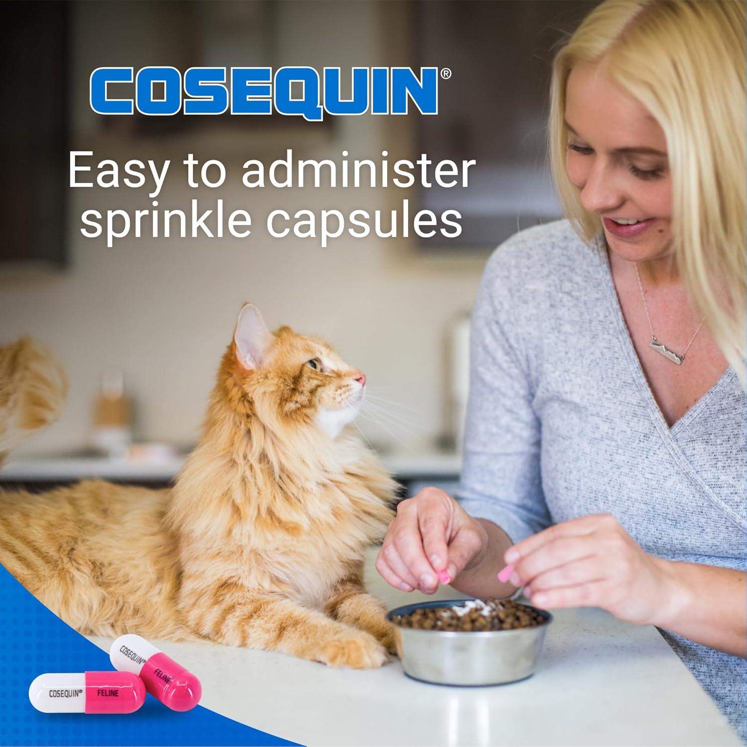 image:imageNutramax Cosequin for Cats Joint Health Supplement Contains Glucosamine for Cats Plus Chondroitin and Boswellia Supports Healthy Joints For All Breeds and Sizes Sprinkle Capsules 60 Count80 Count