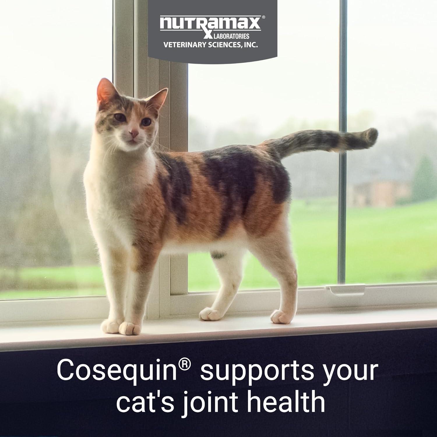 image:imageNutramax Cosequin for Cats Joint Health Supplement Contains Glucosamine for Cats Plus Chondroitin and Boswellia Supports Healthy Joints For All Breeds and Sizes Sprinkle Capsules 60 Count80 Count