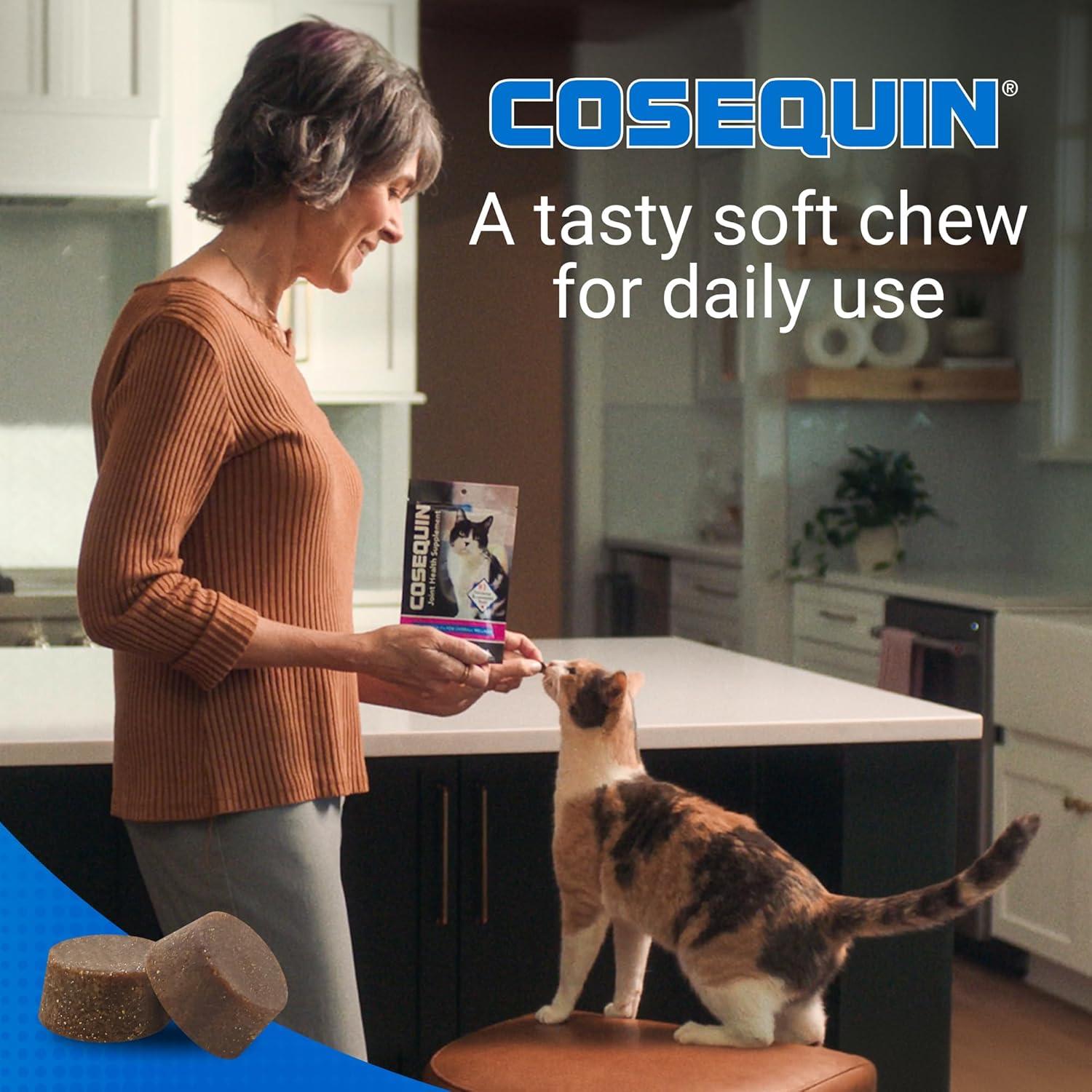 image:imageNutramax Cosequin for Cats Joint Health Supplement Contains Glucosamine for Cats Plus Chondroitin and Omega3s Supports Joint and Skin and Coat Health Soft Chews 60 Count60 Count