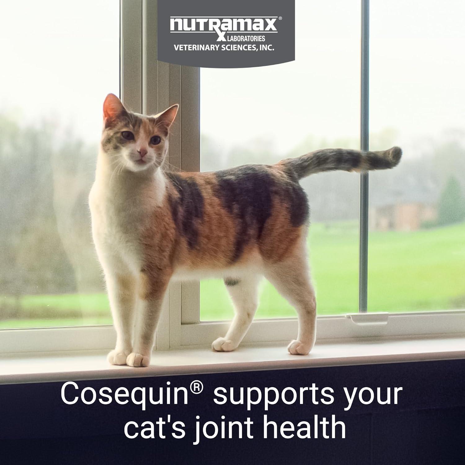 image:imageNutramax Cosequin for Cats Joint Health Supplement Contains Glucosamine for Cats Plus Chondroitin and Omega3s Supports Joint and Skin and Coat Health Soft Chews 60 Count60 Count
