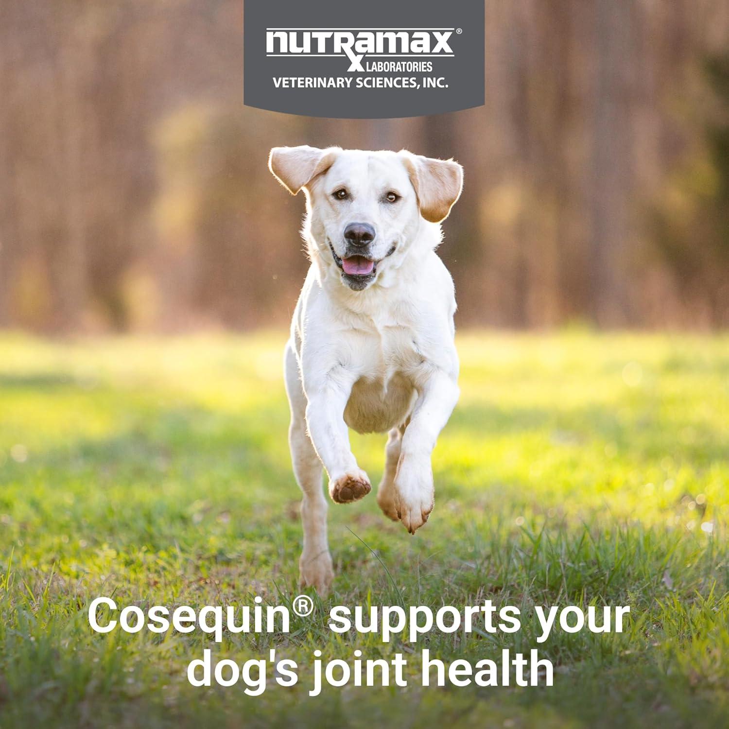 image:imageNutramax Cosequin for Dogs Joint Health Supplement Contains Glucosamine Plus Chondroitin MSM and Omega3s Supports Joint and Skin and Coat Health Soft Chews 120 Count