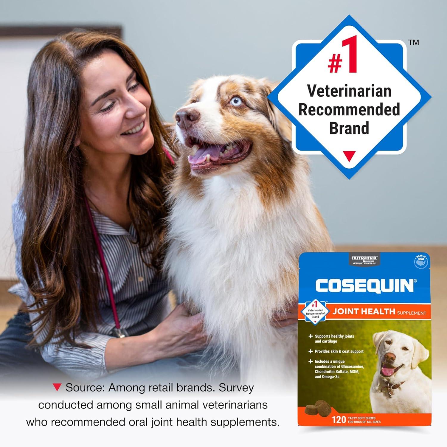image:imageNutramax Cosequin for Dogs Joint Health Supplement Contains Glucosamine Plus Chondroitin MSM and Omega3s Supports Joint and Skin and Coat Health Soft Chews 120 Count
