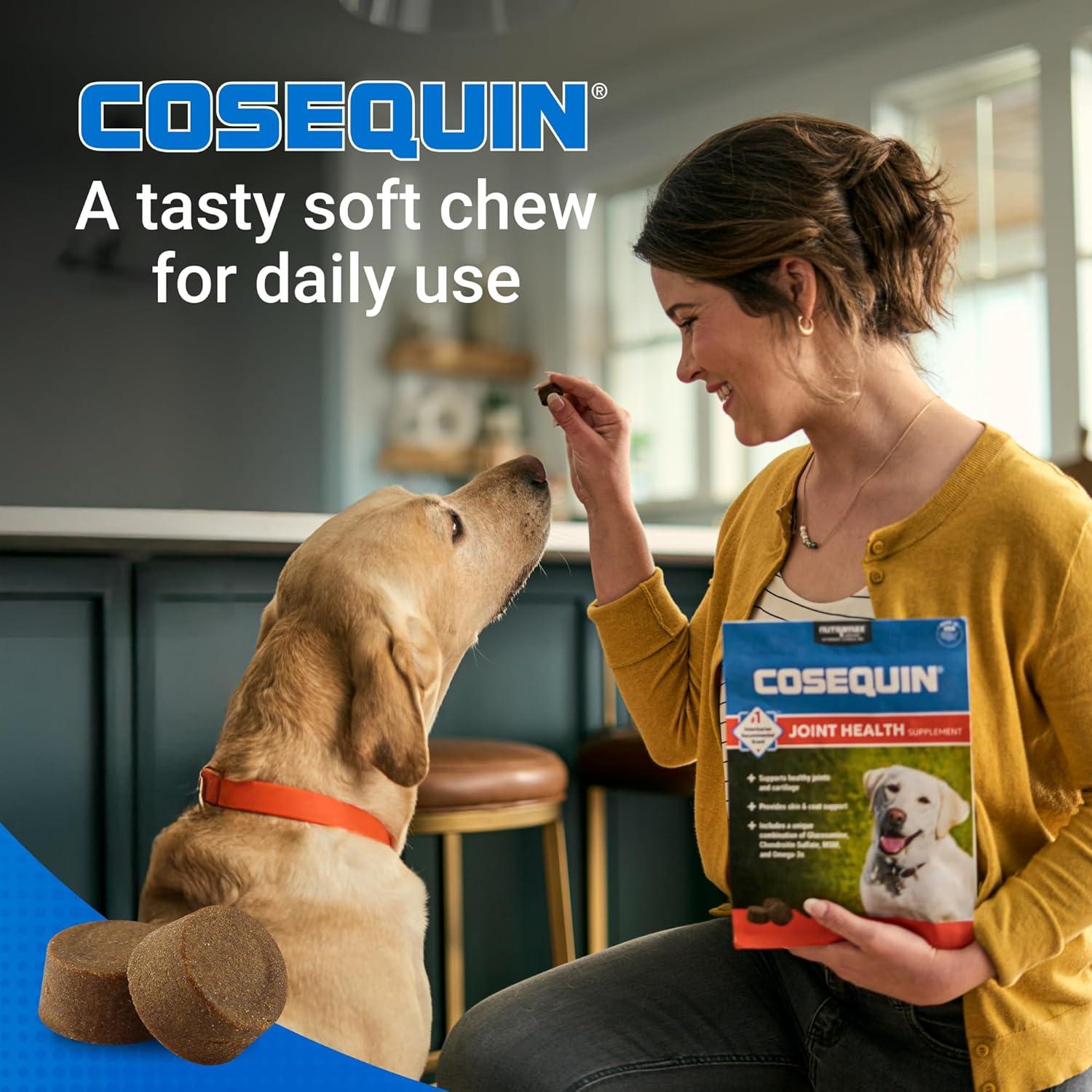 image:imageNutramax Cosequin for Dogs Joint Health Supplement Contains Glucosamine Plus Chondroitin MSM and Omega3s Supports Joint and Skin and Coat Health Soft Chews 120 Count