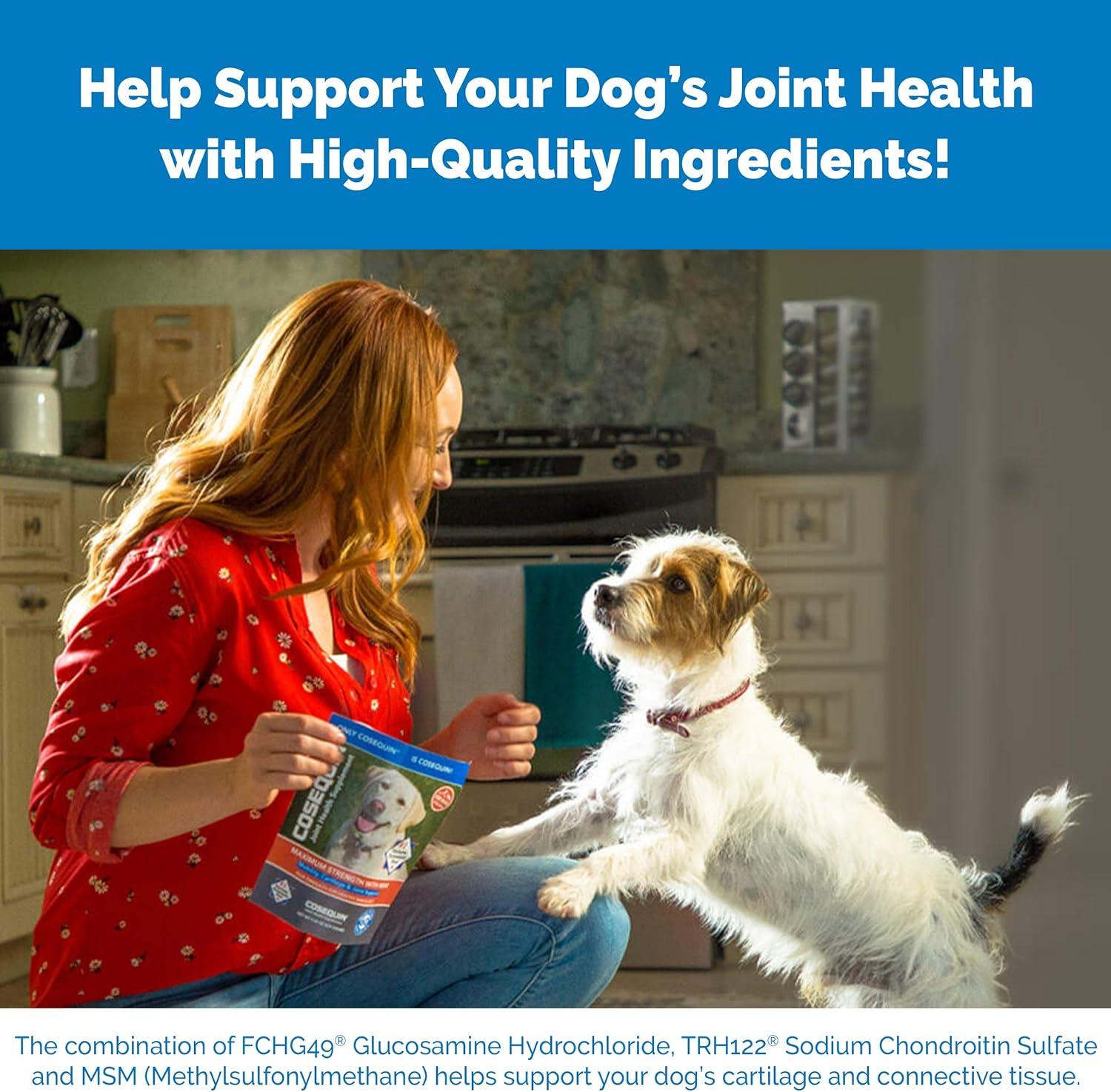 image:imageNutramax Cosequin for Dogs Joint Health Supplement Contains Glucosamine for Dogs Plus Chondroitin Supports Healthy Joints Chewable Tablets 250 Count250 Count