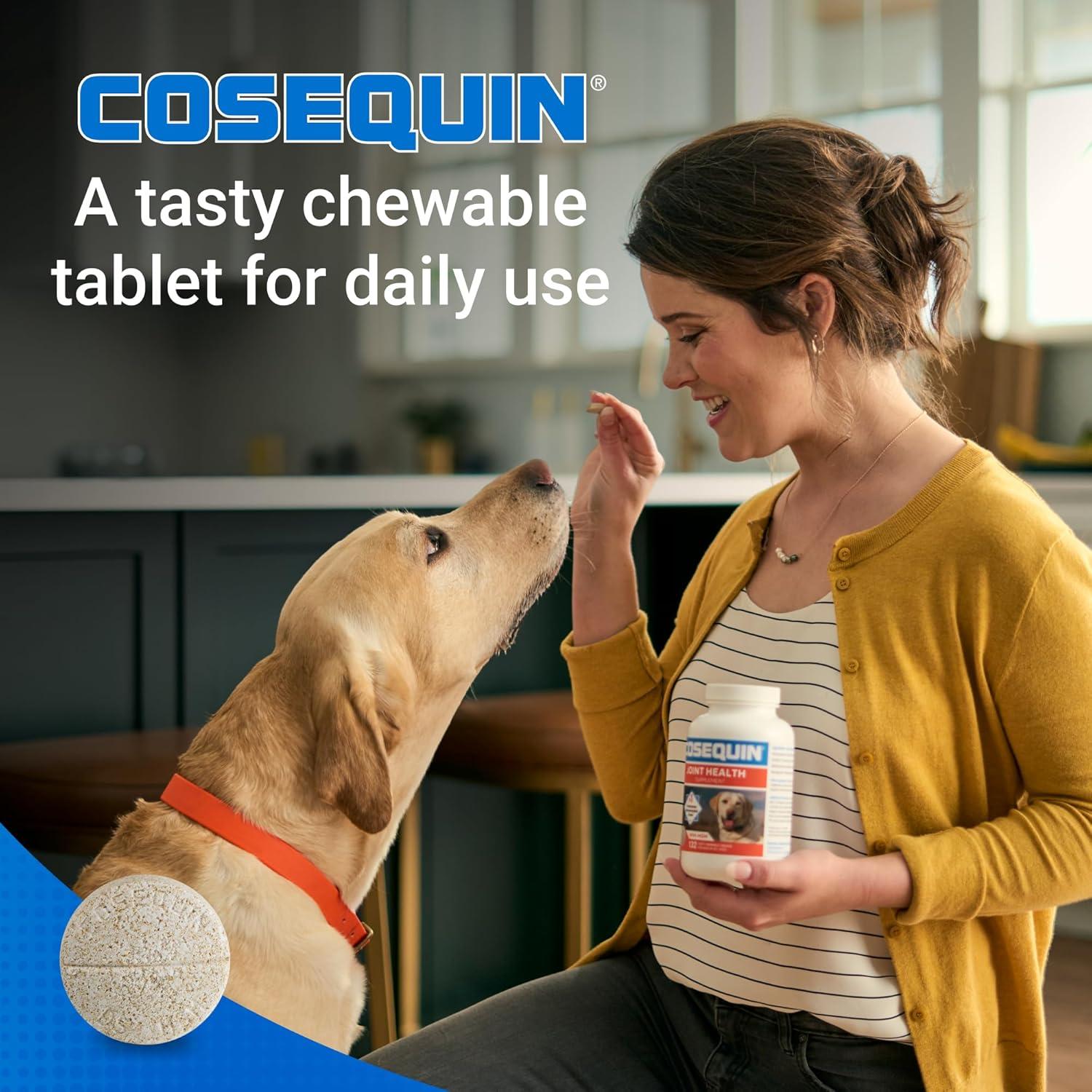 image:imageNutramax Cosequin for Dogs Joint Health Supplement Contains Glucosamine for Dogs Plus Chondroitin and MSM Supports Healthy Joints Chewable Tablets 250 Count250 count