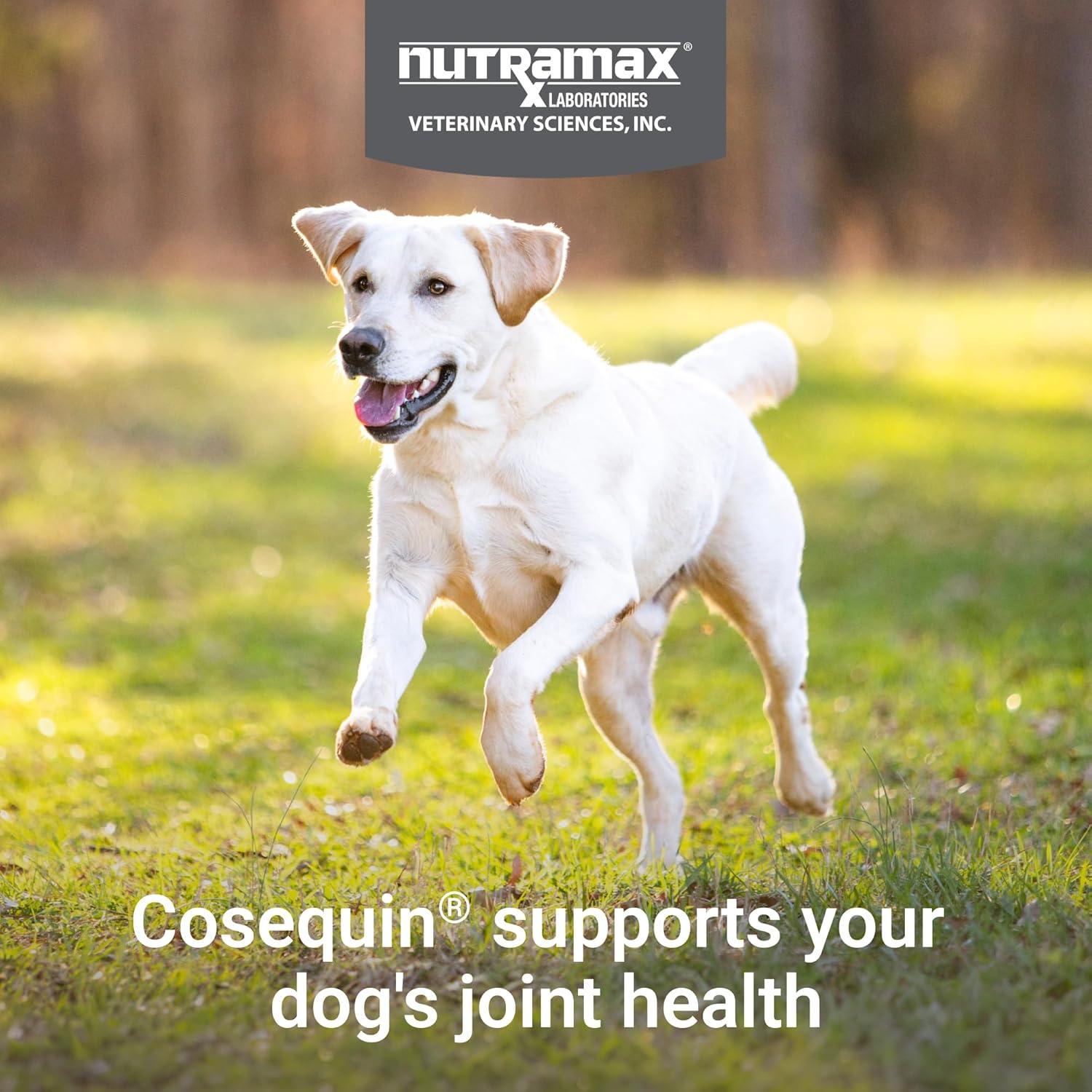 image:imageNutramax Cosequin for Dogs Joint Health Supplement Contains Glucosamine for Dogs Plus Chondroitin and MSM Supports Healthy Joints Chewable Tablets 250 Count250 count