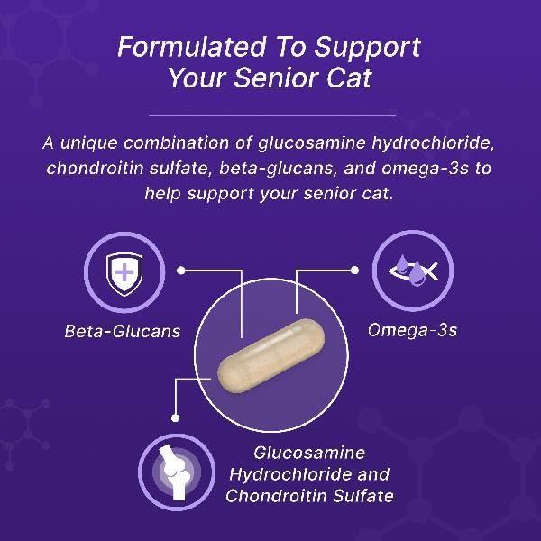 image:imageNutramax Cosequin for Senior Cats Joint Health Supplement Contains Glucosamine for Cats Plus Chondroitin Supports Joint Skin and Coat and Immune Health Sprinkle Capsules 60 Count