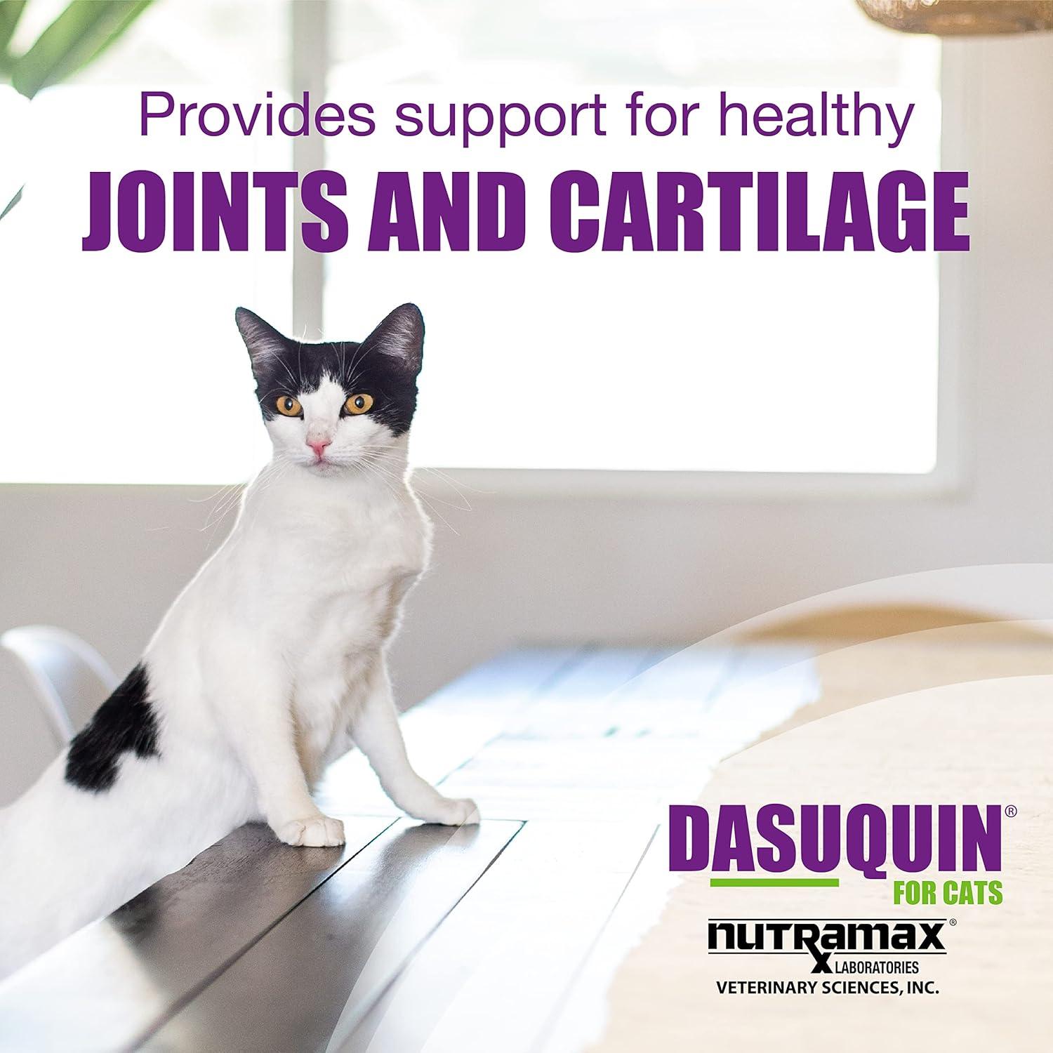 image:imageNutramax Dasuquin Joint Health Supplement for Cats With Glucosamine Chondroitin ASU Boswellia Serrata Extract Green Tea Extract and Omega3 84 Soft Chews84 Count Pack of 1