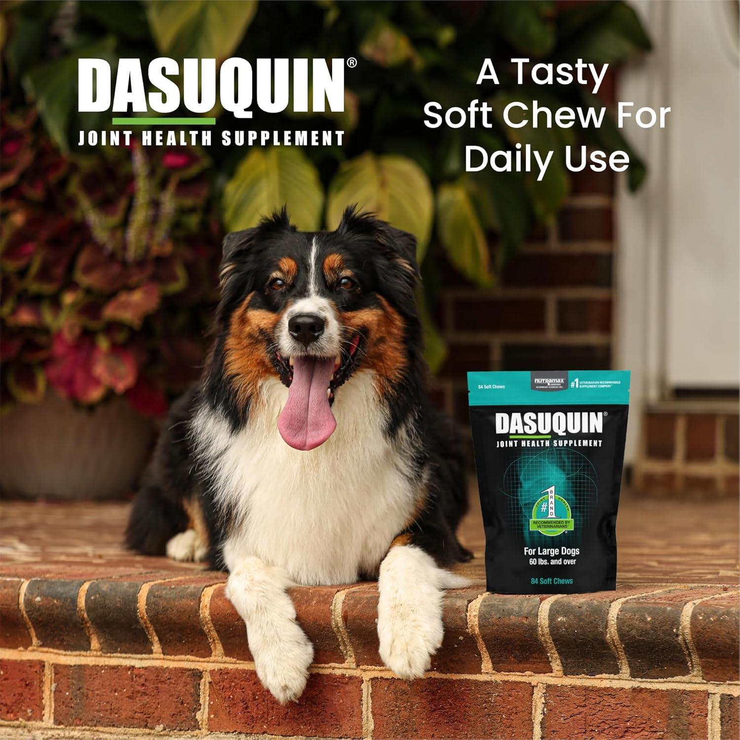 image:imageNutramax Dasuquin for Large Dogs Joint Health Supplement Contains Glucosamine for Dogs Plus Chondroitin ASU and More Supports Healthy Joints Soft Chews 150 CountLarge Dog 84 Count Pack of 1