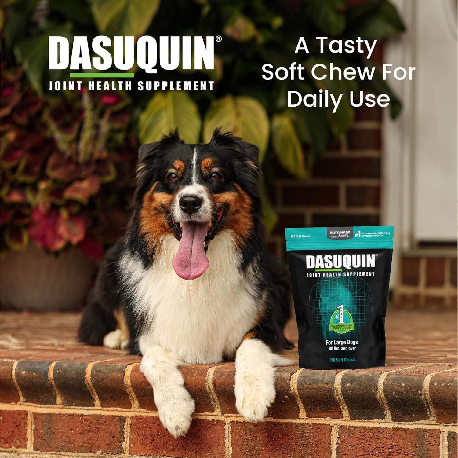 image:imageNutramax Dasuquin for Large Dogs Joint Health Supplement Contains Glucosamine for Dogs Plus Chondroitin ASU and More Supports Healthy Joints Soft Chews 150 CountLarge Dog 150 Count Pack of 1