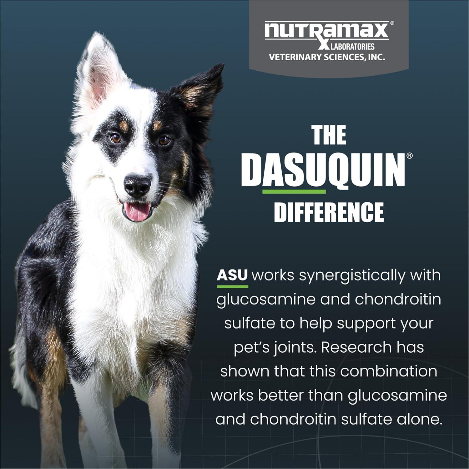 image:imageNutramax Dasuquin for Small to Medium Dogs Joint Health Supplement Contains Glucosamine for Dogs Plus Chondroitin ASU and More Supports Healthy Joints Chewable Tablets 150 CountUnder 60Pound Pack of 2