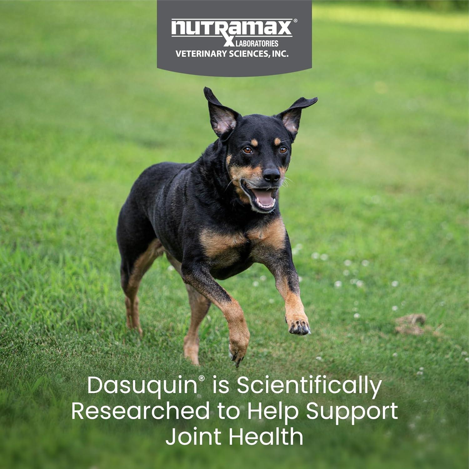image:imageNutramax Dasuquin for Small to Medium Dogs Joint Health Supplement Contains Glucosamine for Dogs Plus Chondroitin ASU and More Supports Healthy Joints Chewable Tablets 150 CountUnder 60Pound