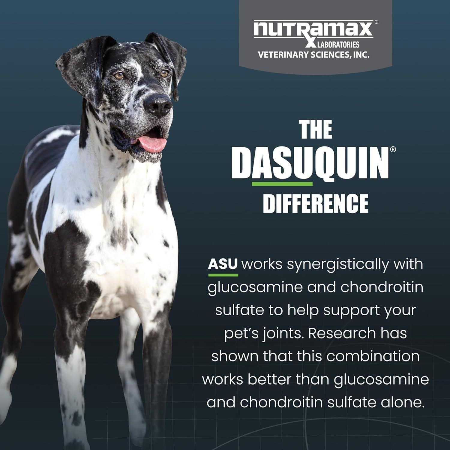 image:imageNutramax Dasuquin with MSM Chewables Large Dog 150 Count150 Count Pack of 1