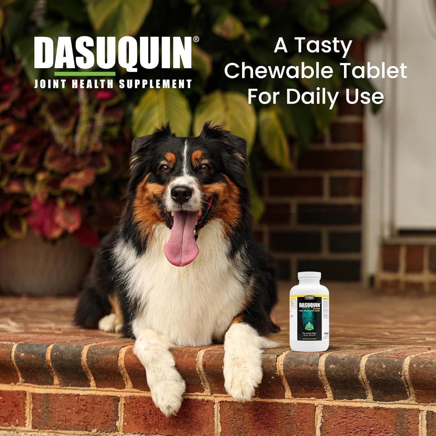 image:imageNutramax Dasuquin with MSM Chewables Large Dog 150 Count150 Count Pack of 1