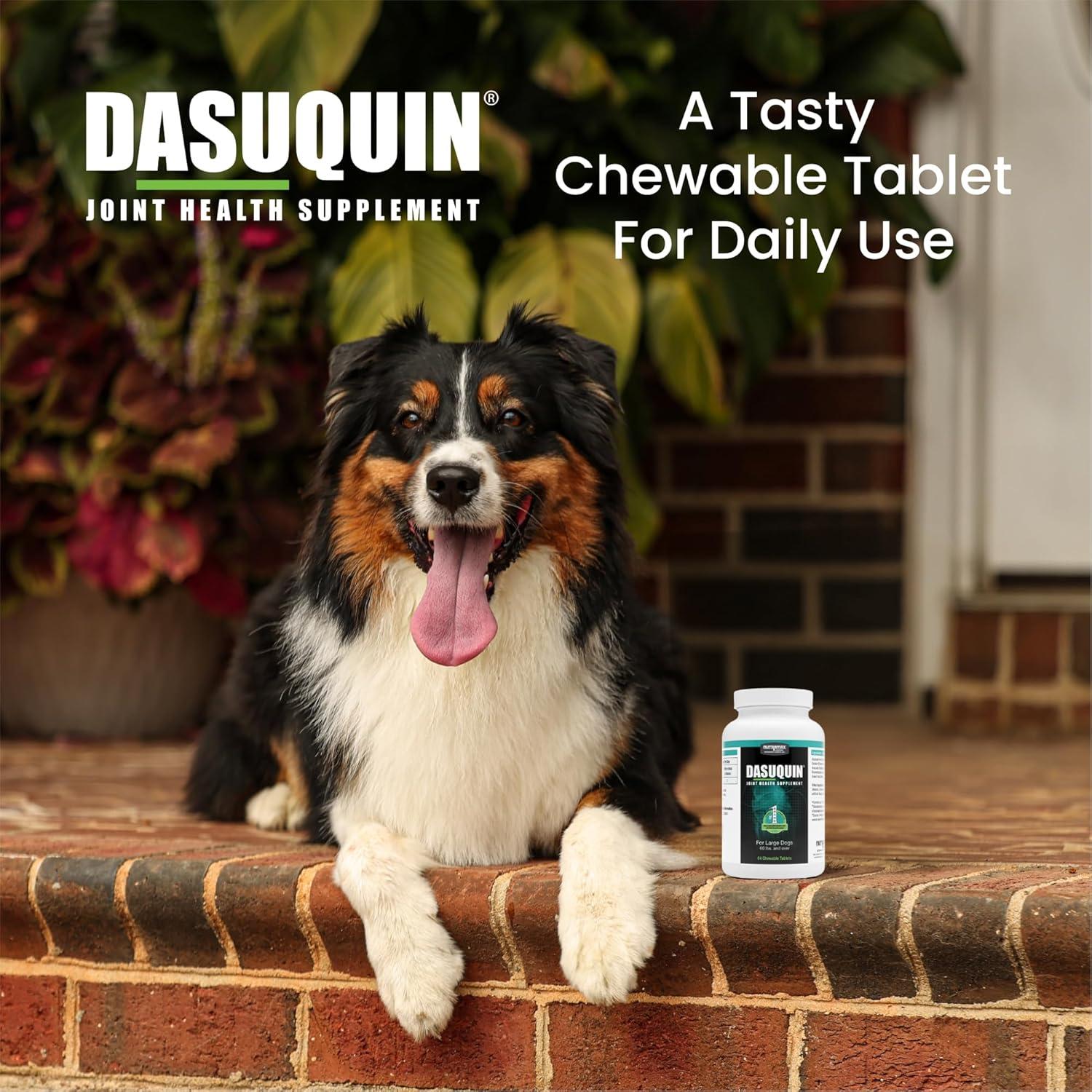 image:imageNutramax Dasuquin with MSM Chewables Large Dog 150 Count84 Count Pack of 1