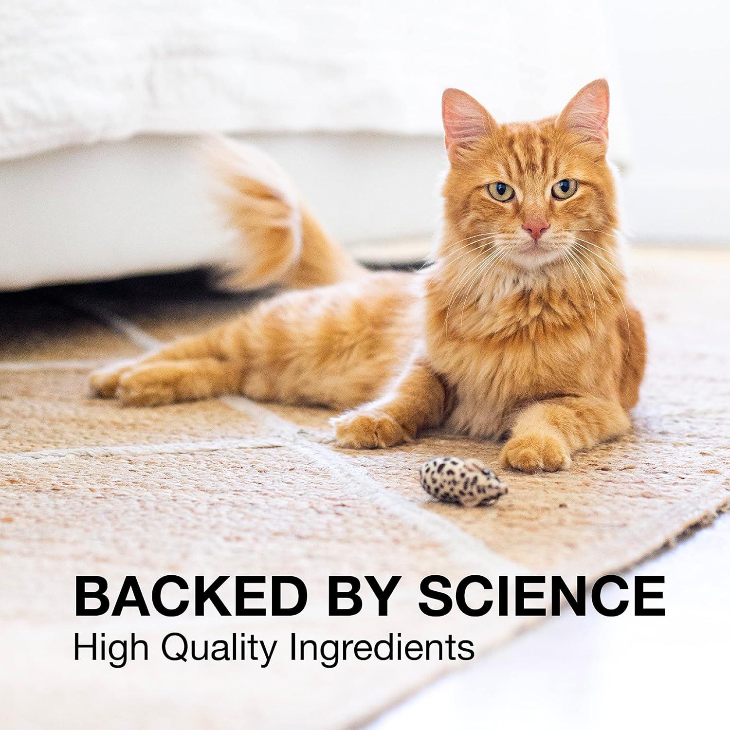 image:imageNutramax Denosyl Liver and Brain Health Supplement for Small Dogs and Cats With SAdenosylmethionine SAMe 30 TabletsSmall DogCat Under 12 lbs