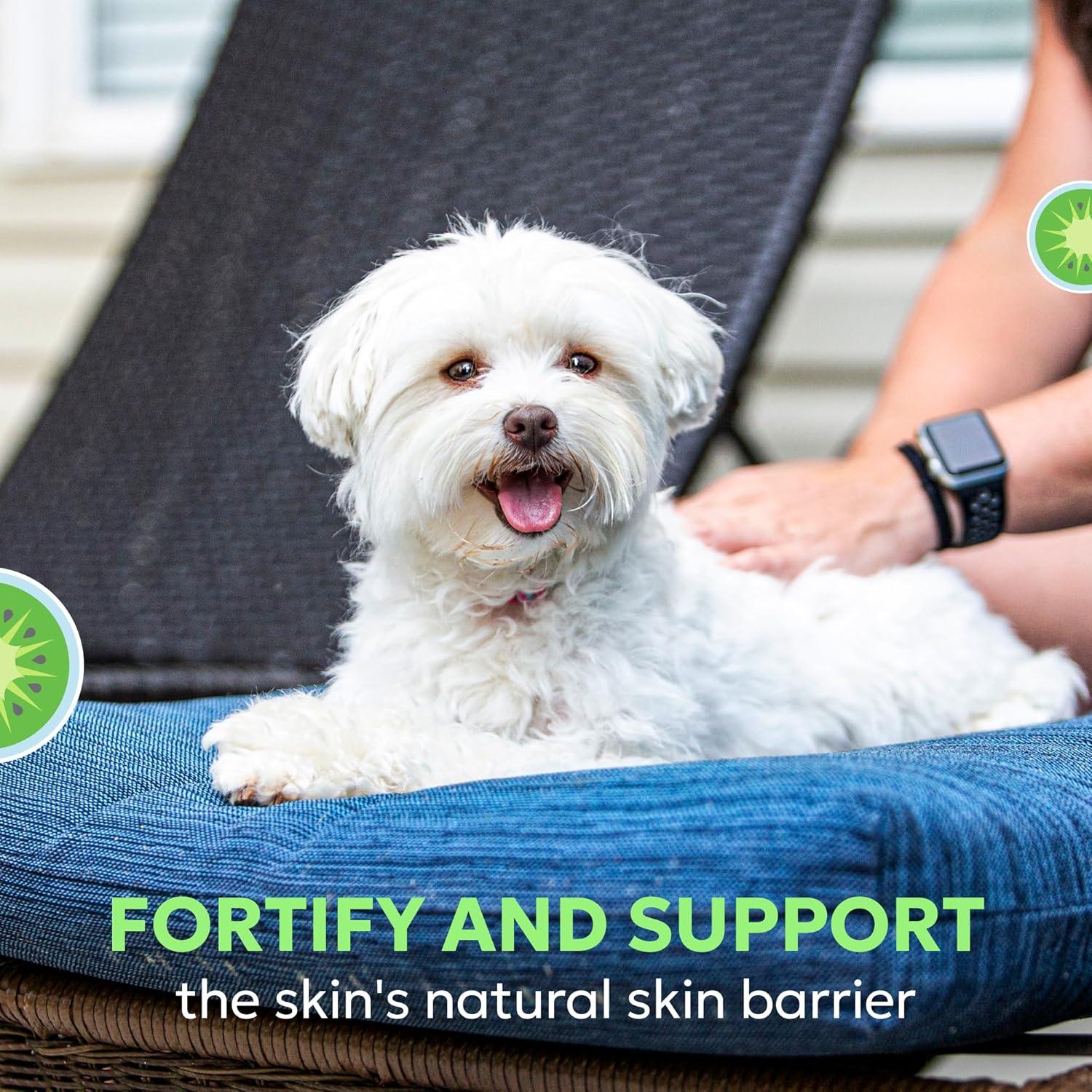 image:imageNutramax Dermaquin Skin Support Supplement for Small to Medium Dogs and Cats Supports Healthy Response to Allergens with Hardy Kiwi Omega3s and More Tasty Soft Chews 60 Count60 ct SmMed Dog and Cat