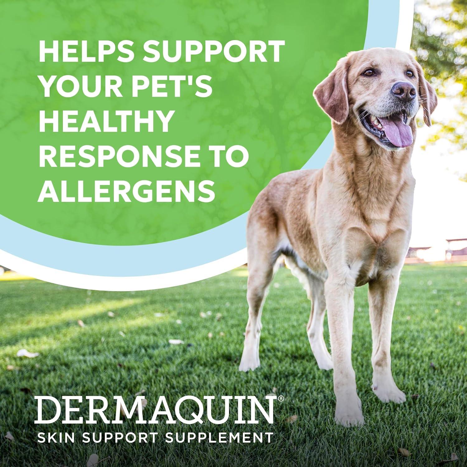 image:imageNutramax Dermaquin Skin Support Supplement for Small to Medium Dogs and Cats Supports Healthy Response to Allergens with Hardy Kiwi Omega3s and More Tasty Soft Chews 60 Count60 ct Large Dog