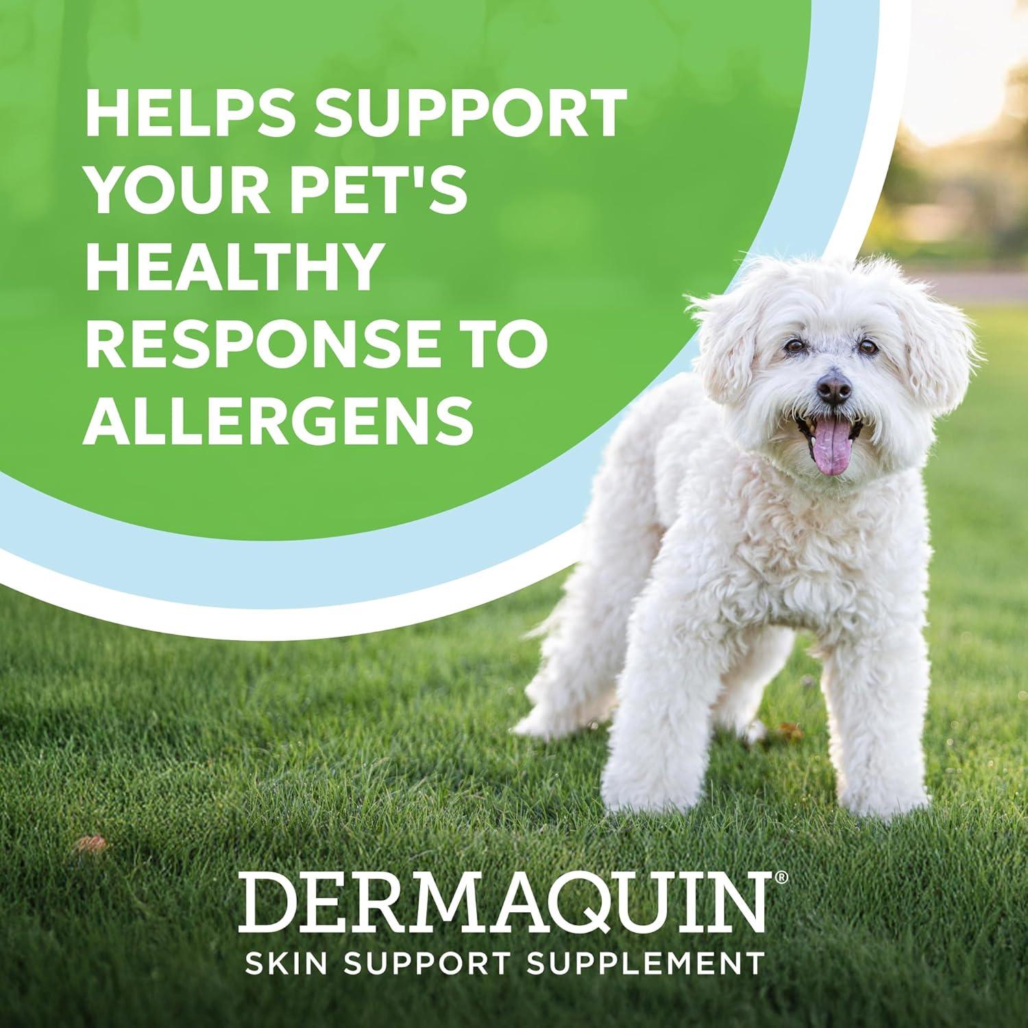 image:imageNutramax Dermaquin Skin Support Supplement for Small to Medium Dogs and Cats Supports Healthy Response to Allergens with Hardy Kiwi Omega3s and More Tasty Soft Chews 60 Count60 ct SmMed Dog and Cat