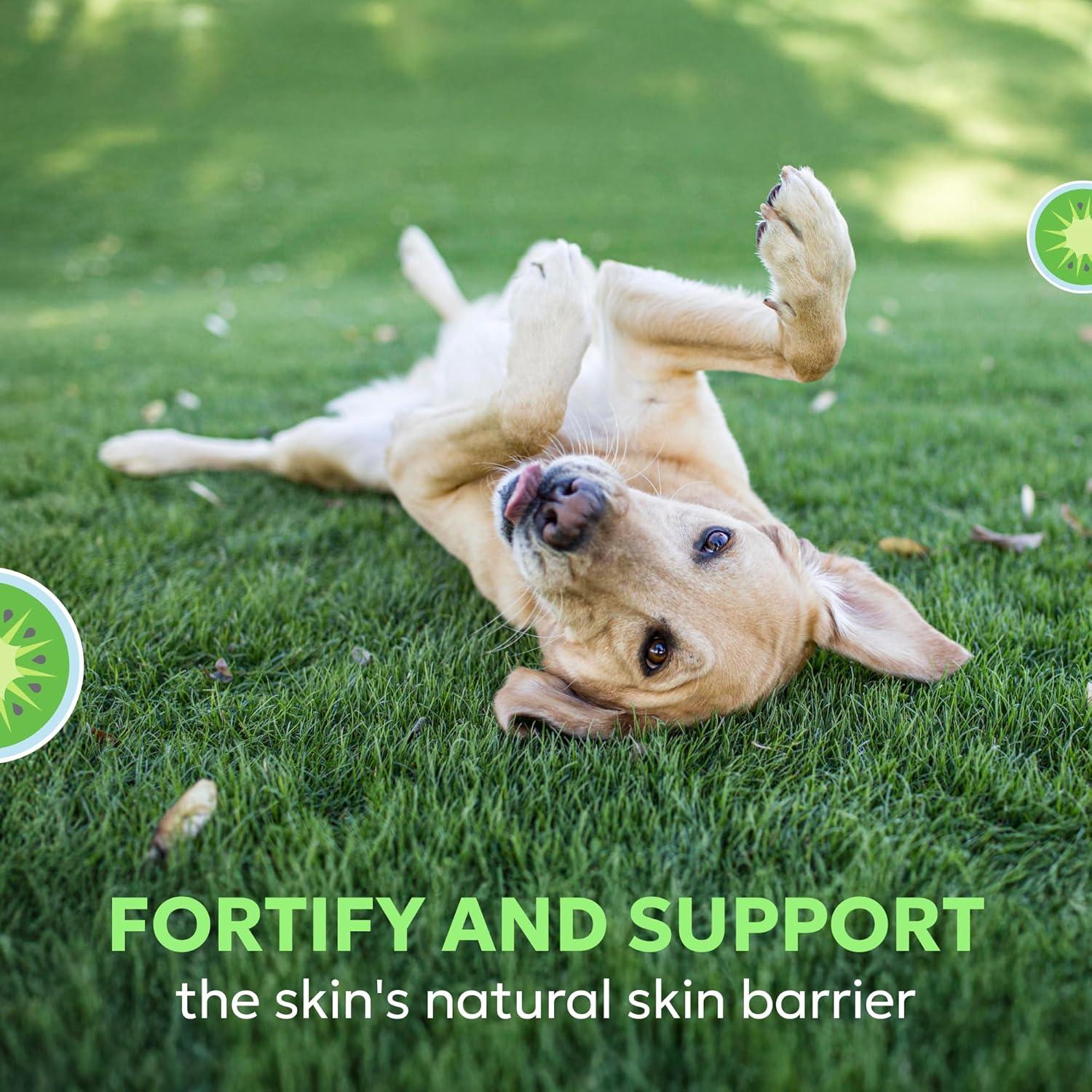 image:imageNutramax Dermaquin Skin Support Supplement for Small to Medium Dogs and Cats Supports Healthy Response to Allergens with Hardy Kiwi Omega3s and More Tasty Soft Chews 60 Count60 ct Large Dog