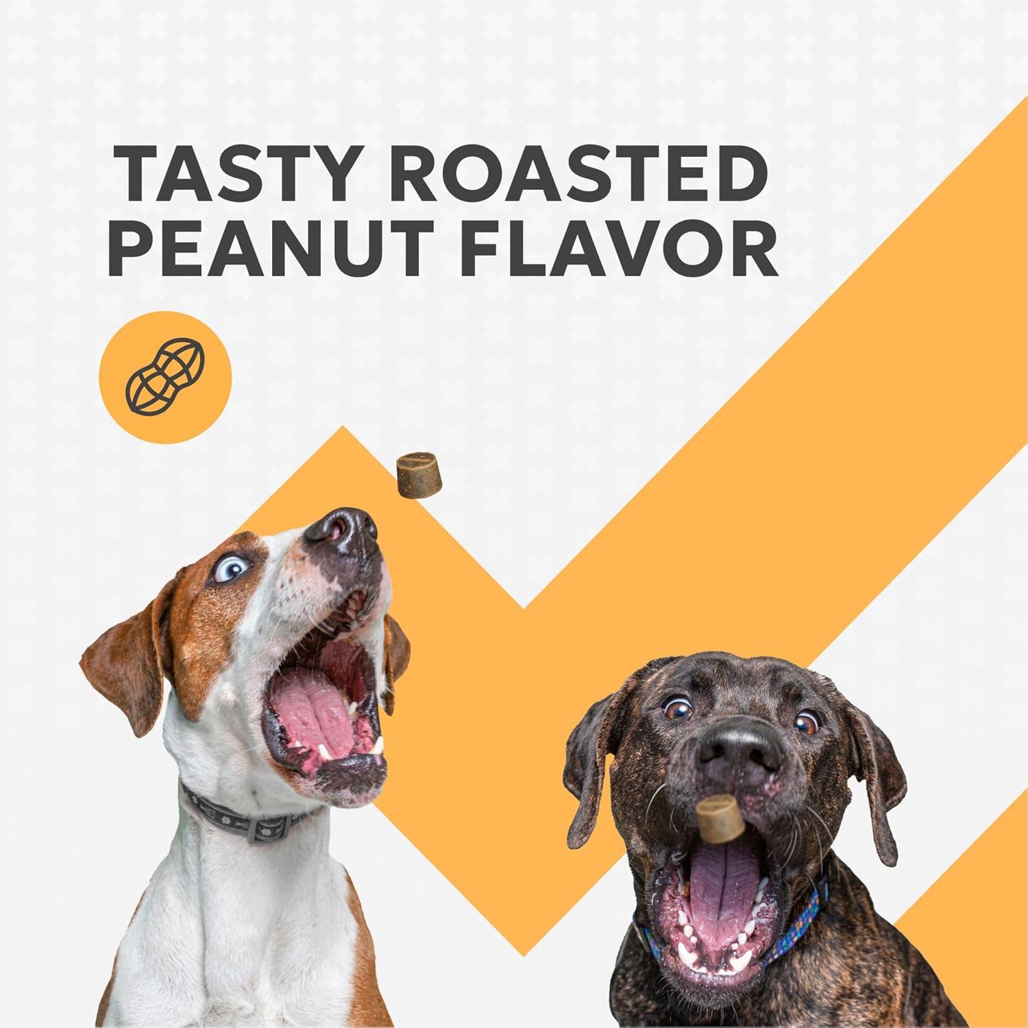 image:imageNutramax Filaquin Anal Gland Supplement for Dogs from The Same Company as Cosequin amp Proviable with Pre amp Postbiotics and Psyllium Husk Fiber to Support Anal Gland Health 90 Count Soft Chews