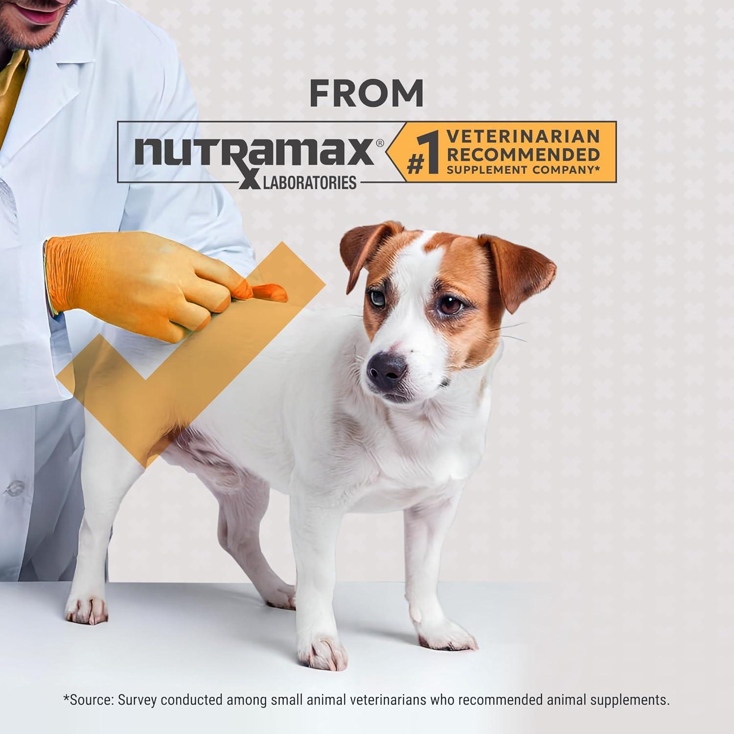 image:imageNutramax Filaquin Anal Gland Supplement for Dogs from The Same Company as Cosequin amp Proviable with Pre amp Postbiotics and Psyllium Husk Fiber to Support Anal Gland Health 90 Count Soft Chews