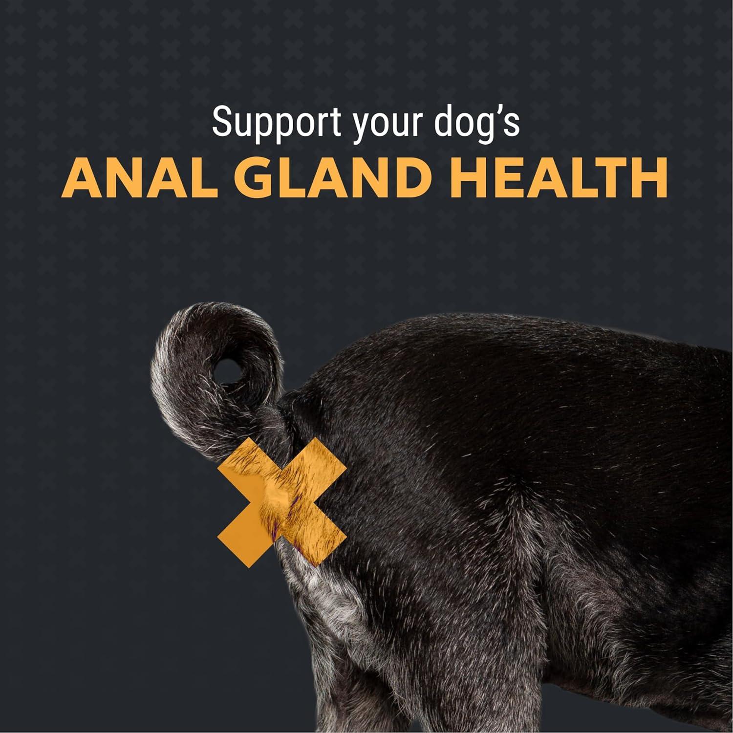 image:imageNutramax Filaquin Anal Gland Supplement for Dogs from The Same Company as Cosequin amp Proviable with Pre amp Postbiotics and Psyllium Husk Fiber to Support Anal Gland Health 90 Count Soft Chews
