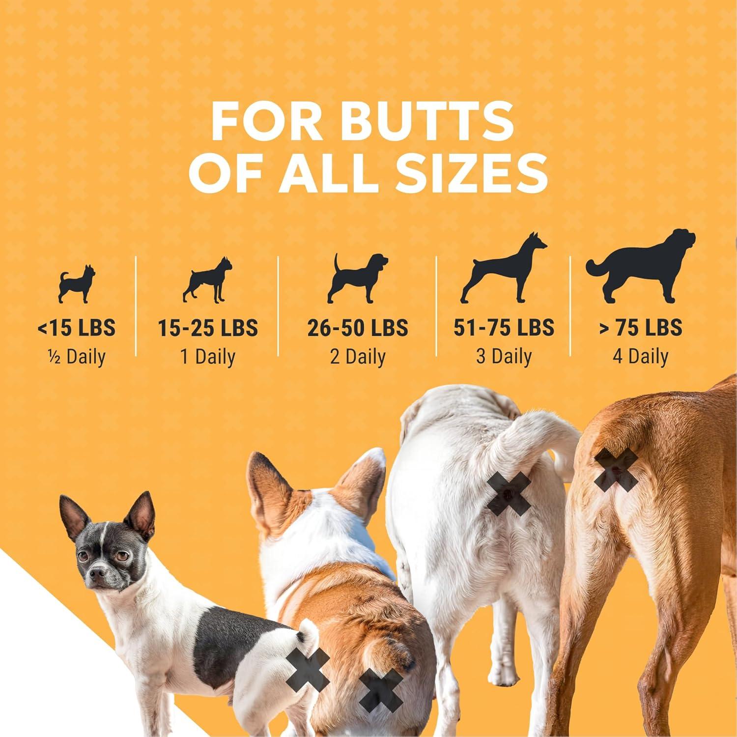 image:imageNutramax Filaquin Anal Gland Supplement for Dogs from The Same Company as Cosequin amp Proviable with Pre amp Postbiotics and Psyllium Husk Fiber to Support Anal Gland Health 90 Count Soft Chews