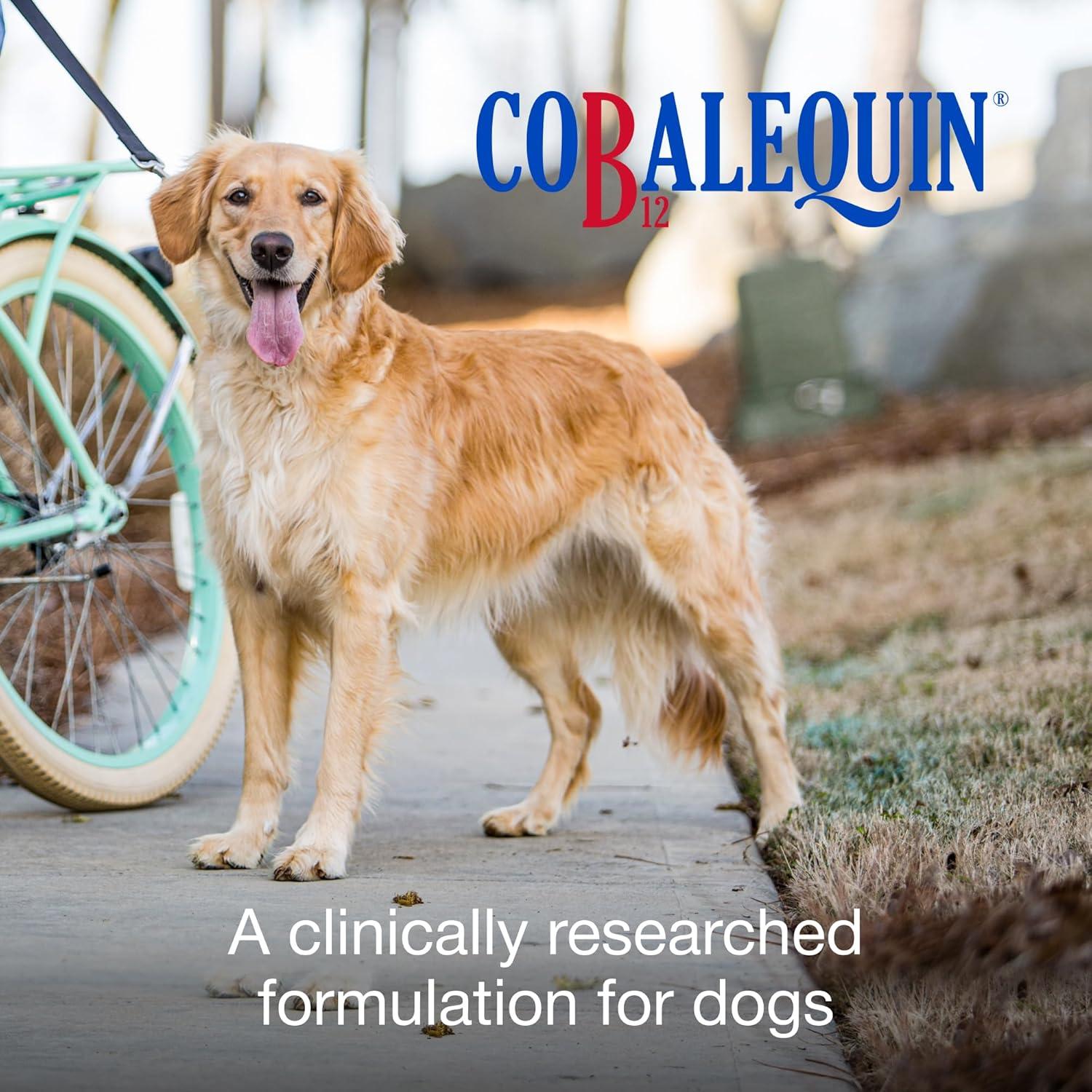 image:imageNutramax Laboratories Cobalequin B12 Supplement for Medium to Large Dogs 45 Chewable Tablets Hydrolyzed Chicken 208 ouncesDogs Only Pack of 2
