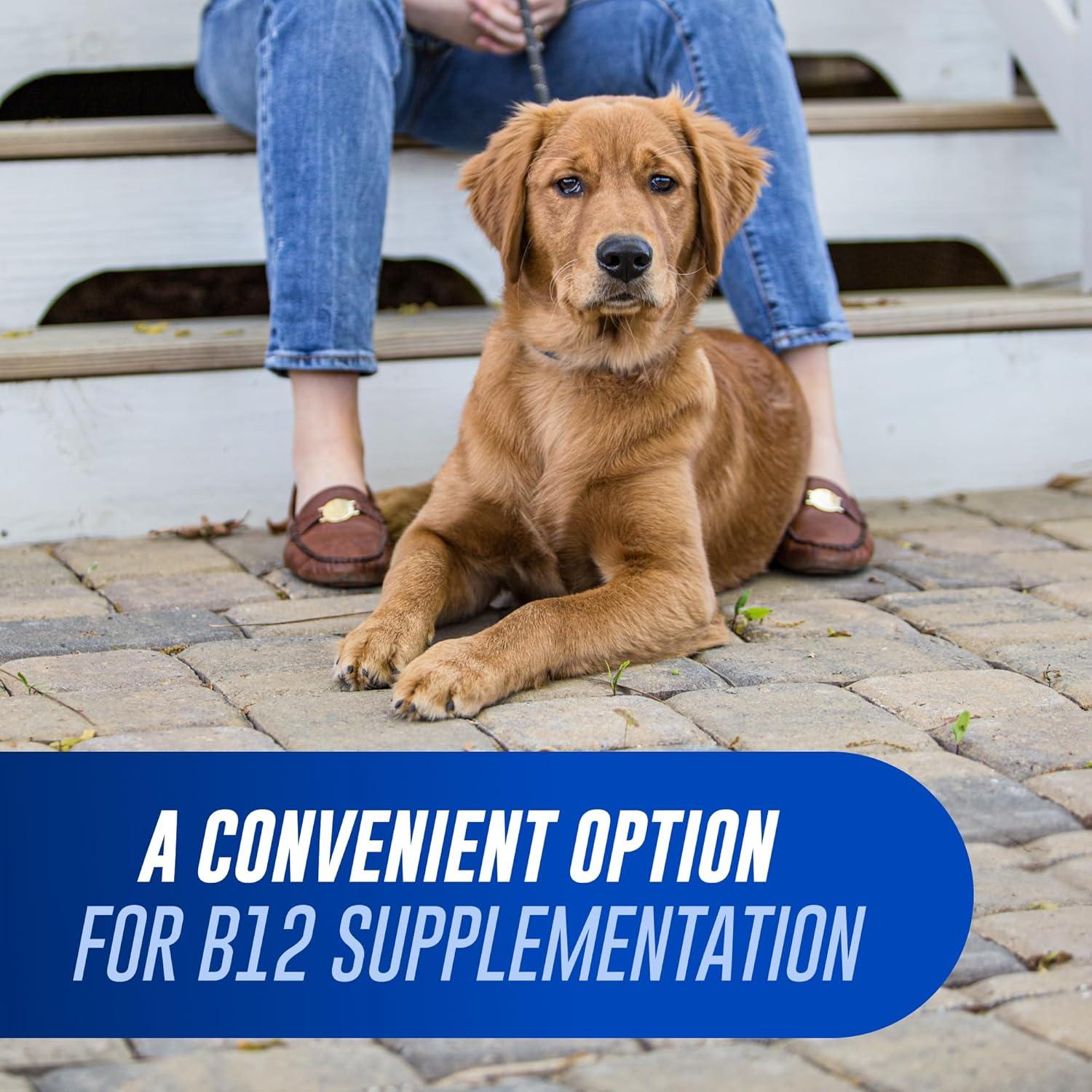 image:imageNutramax Laboratories Cobalequin B12 Supplement for Medium to Large Dogs 45 Chewable Tablets Hydrolyzed Chicken 208 ouncesDogs Only Pack of 2