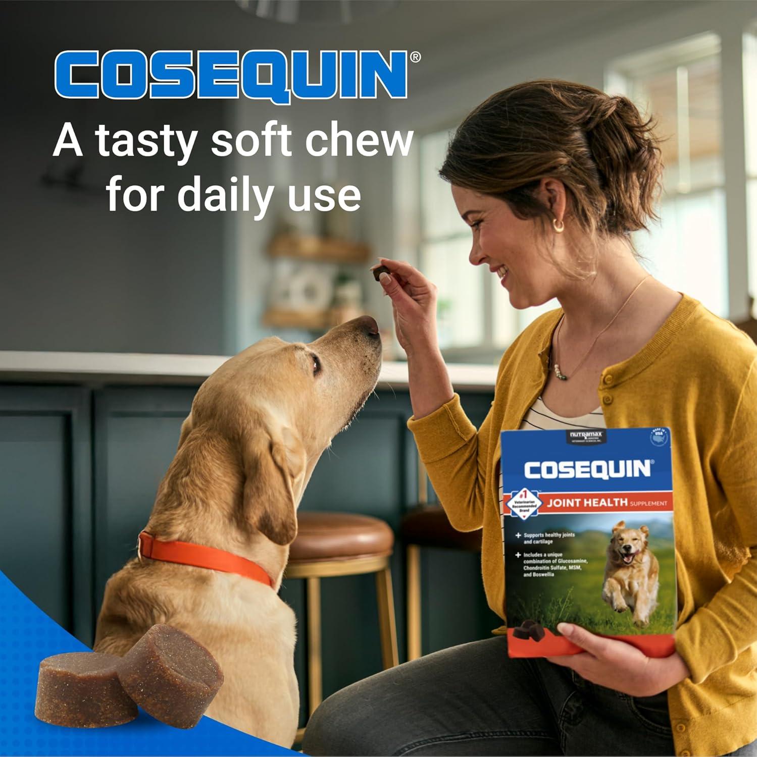 image:imageNutramax Laboratories Cosequin DS Plus MSM Professional Line for Dogs 60 Soft Chews2 Pack