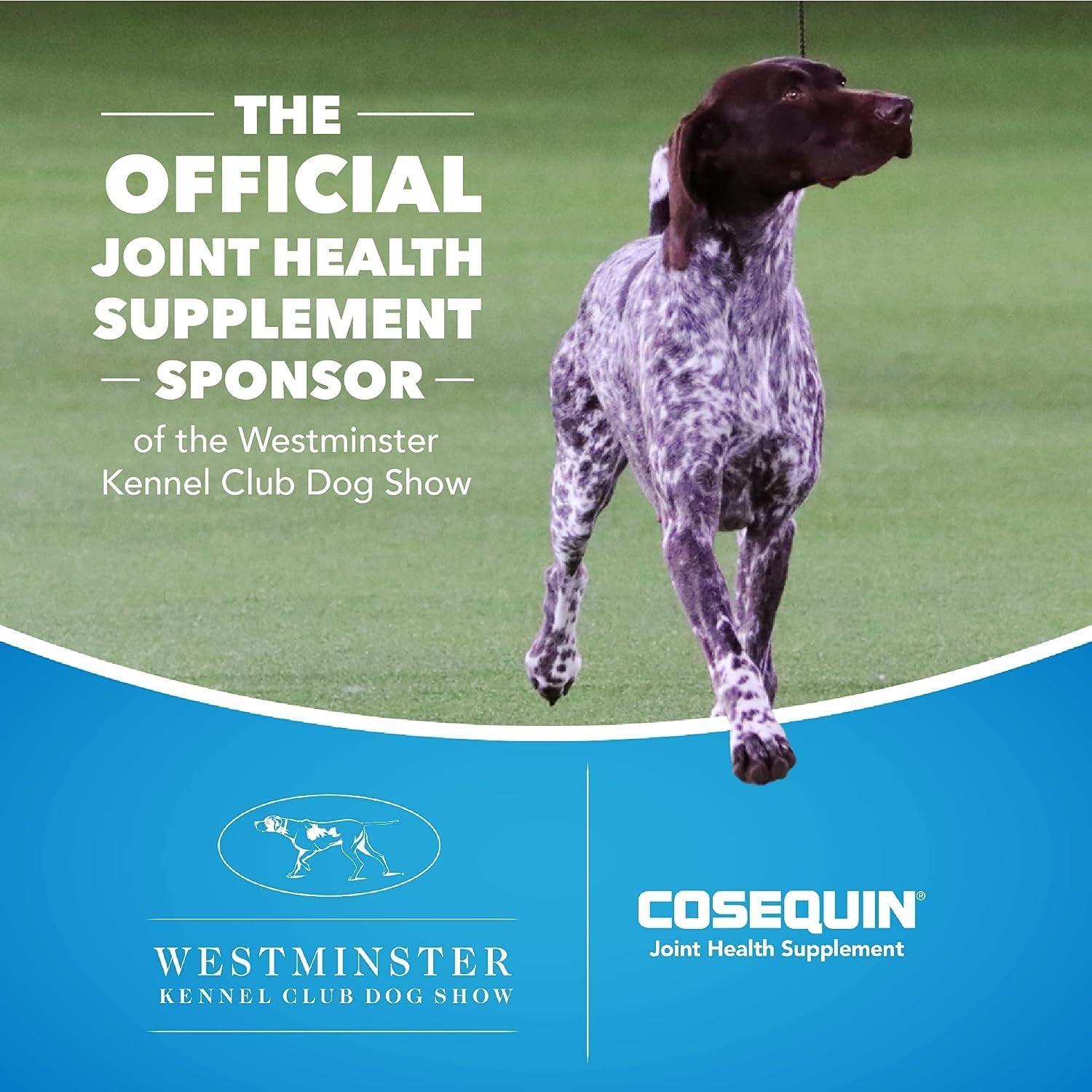image:imageNutramax Laboratories Cosequin DS Plus MSM Professional Line for Dogs 60 Soft Chews60 soft chews Pack of 2