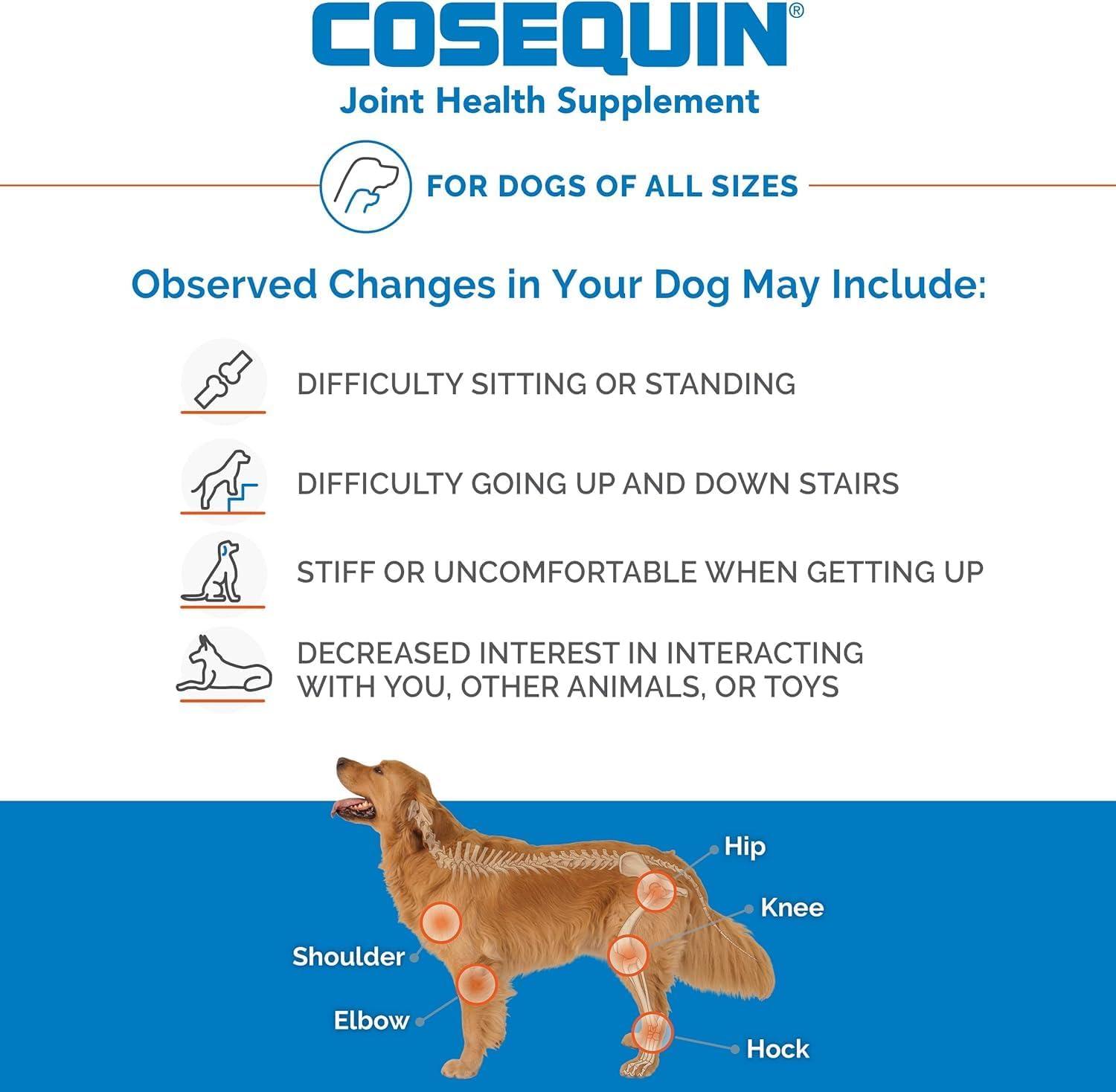 image:imageNutramax Laboratories Cosequin DS Plus MSM Professional Line for Dogs 60 Soft Chews60 soft chews Pack of 2