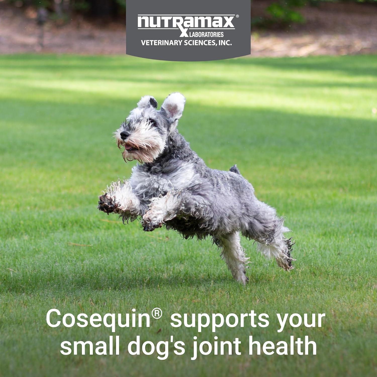 image:imageNutramax Laboratories Cosequin Plus MSM amp Boswellia Mini Sized Soft Chews1 Count Pack of 1