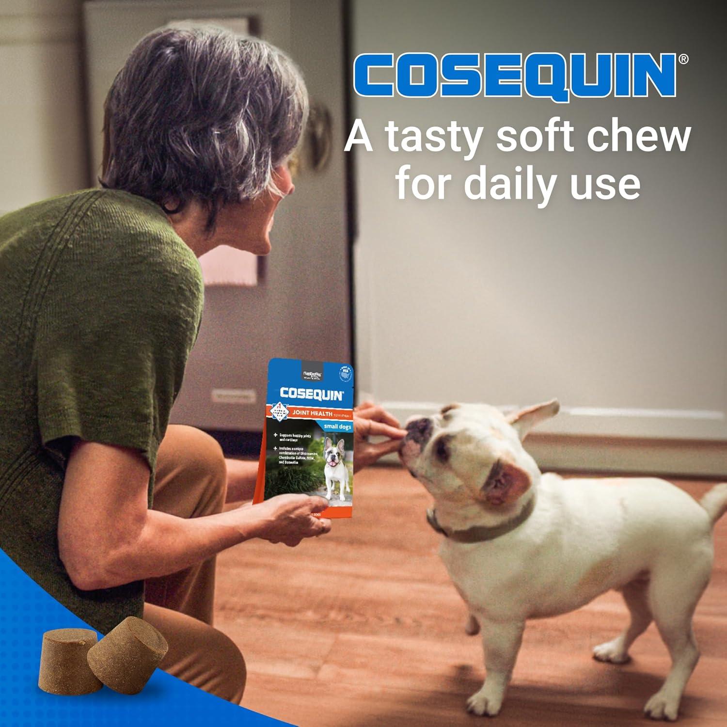 image:imageNutramax Laboratories Cosequin Plus MSM amp Boswellia Mini Sized Soft Chews1 Count Pack of 1