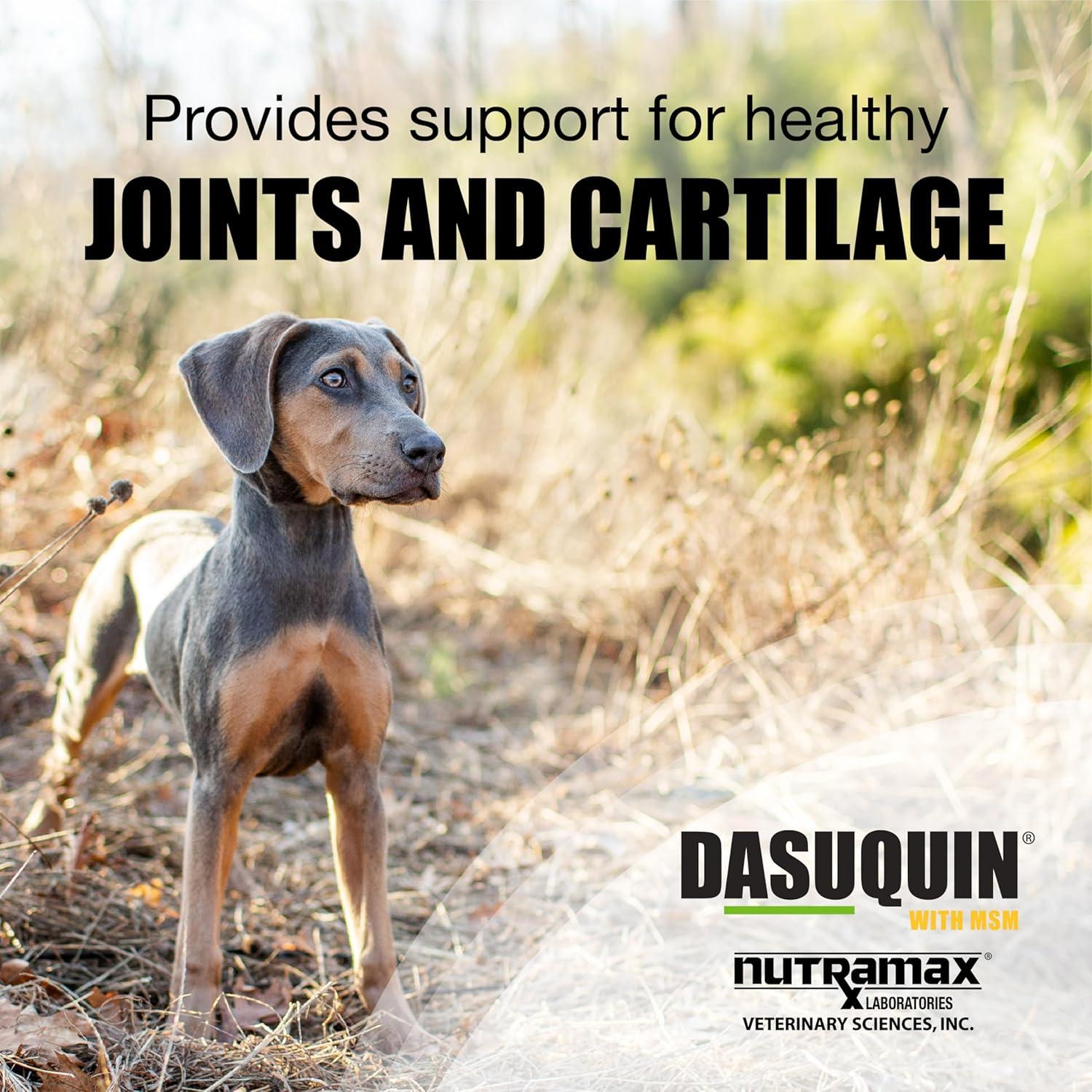 image:imageNutramax Laboratories Dasuquin with MSM Chewable Tablets For SmallMedium Dog