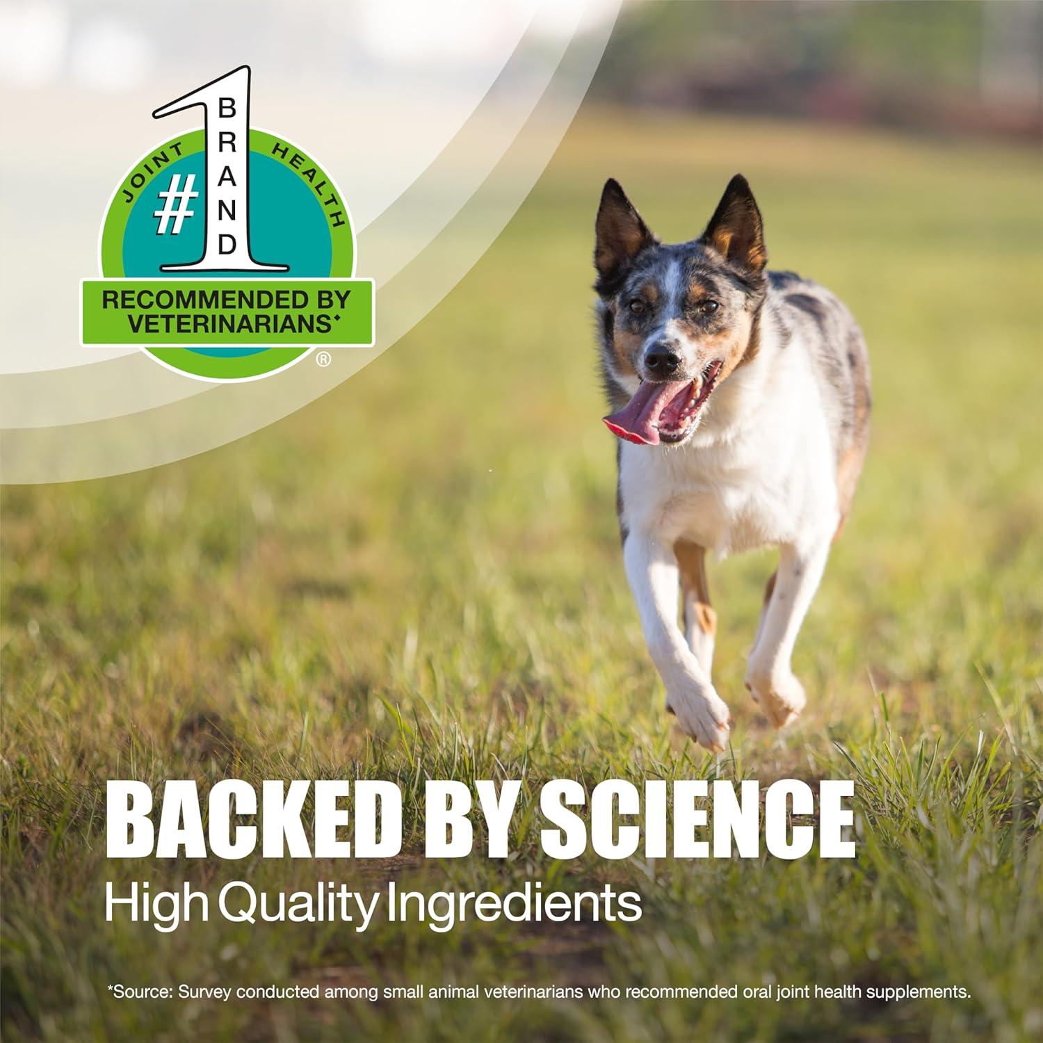 image:imageNutramax Laboratories Dasuquin with MSM Chewable Tablets For SmallMedium Dog