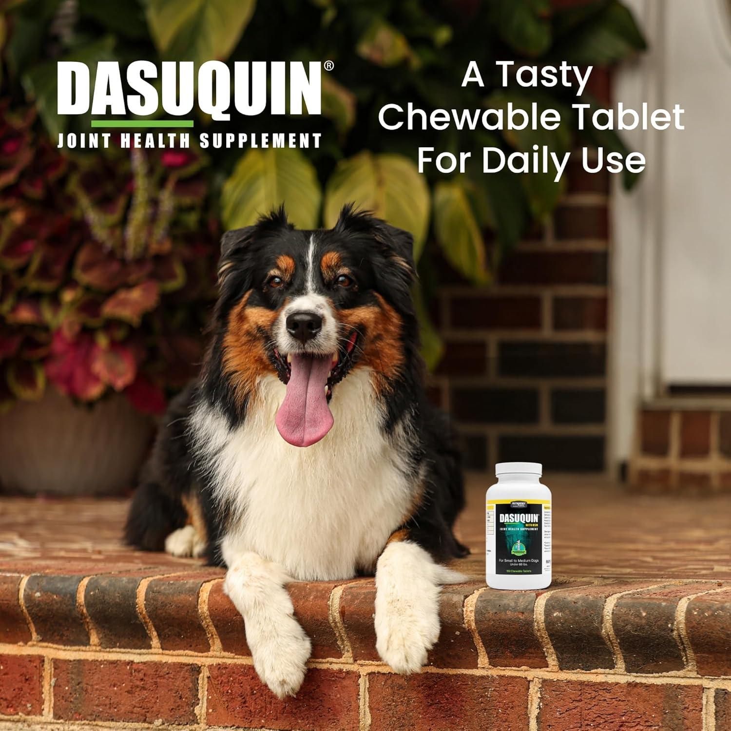 image:imageNutramax Laboratories Dasuquin with MSM Chewables SmallMedium Dog 150 Count WhiteSmallMedium Dog