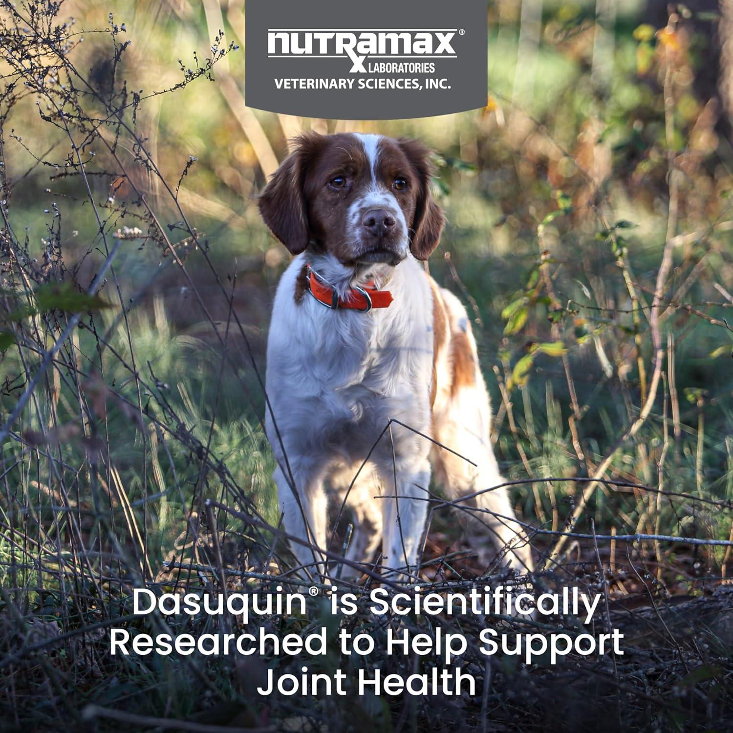 image:imageNutramax Laboratories Dasuquin with MSM Chewables SmallMedium Dog 150 Count WhiteSmallMedium Dog