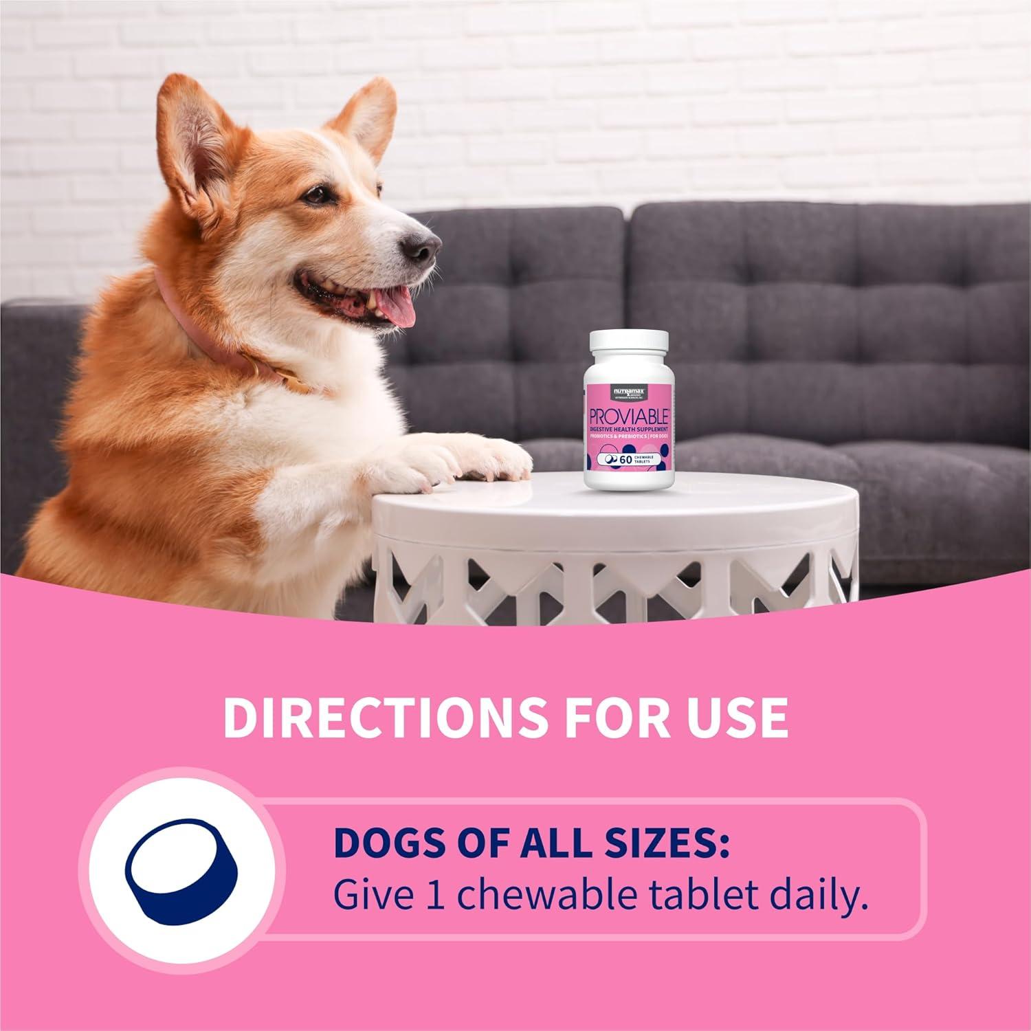 image:imageNutramax Proviable Probiotics for Dogs Daily Digestive Health Supplement with Multiple Strains of Bacteria Dog Probiotics Plus Prebiotics 60 Chewable Tablets60 Count Pack of 1
