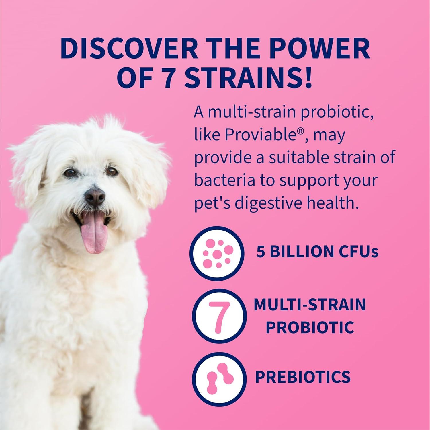 image:imageNutramax Proviable Probiotics for Dogs Daily Digestive Health Supplement with Multiple Strains of Bacteria Dog Probiotics Plus Prebiotics 60 Chewable Tablets60 Count Pack of 1