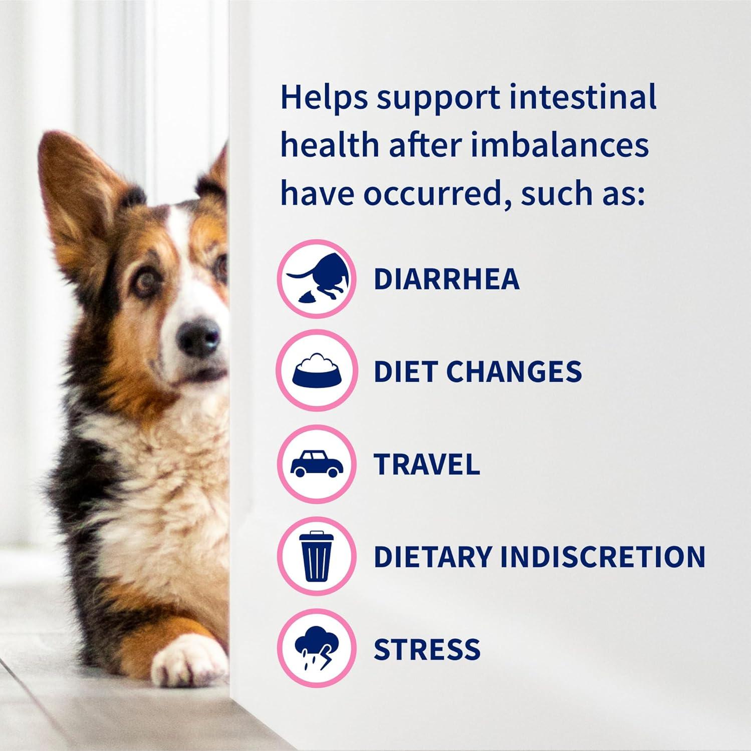 image:imageNutramax Proviable Probiotics for Dogs Daily Digestive Health Supplement with Multiple Strains of Bacteria Dog Probiotics Plus Prebiotics 60 Chewable Tablets60 Count Pack of 1