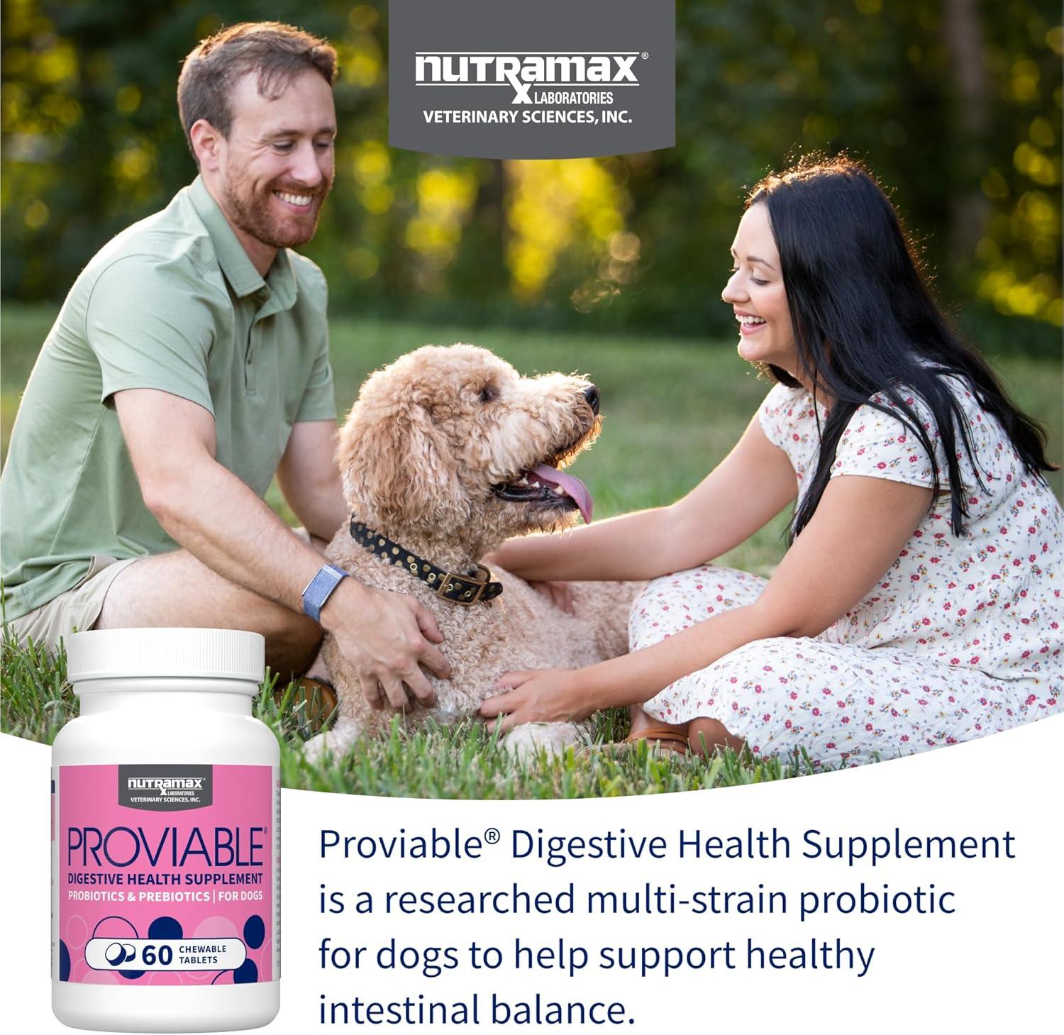 image:imageNutramax Proviable Probiotics for Dogs Daily Digestive Health Supplement with Multiple Strains of Bacteria Dog Probiotics Plus Prebiotics 60 Chewable Tablets60 Count Pack of 1