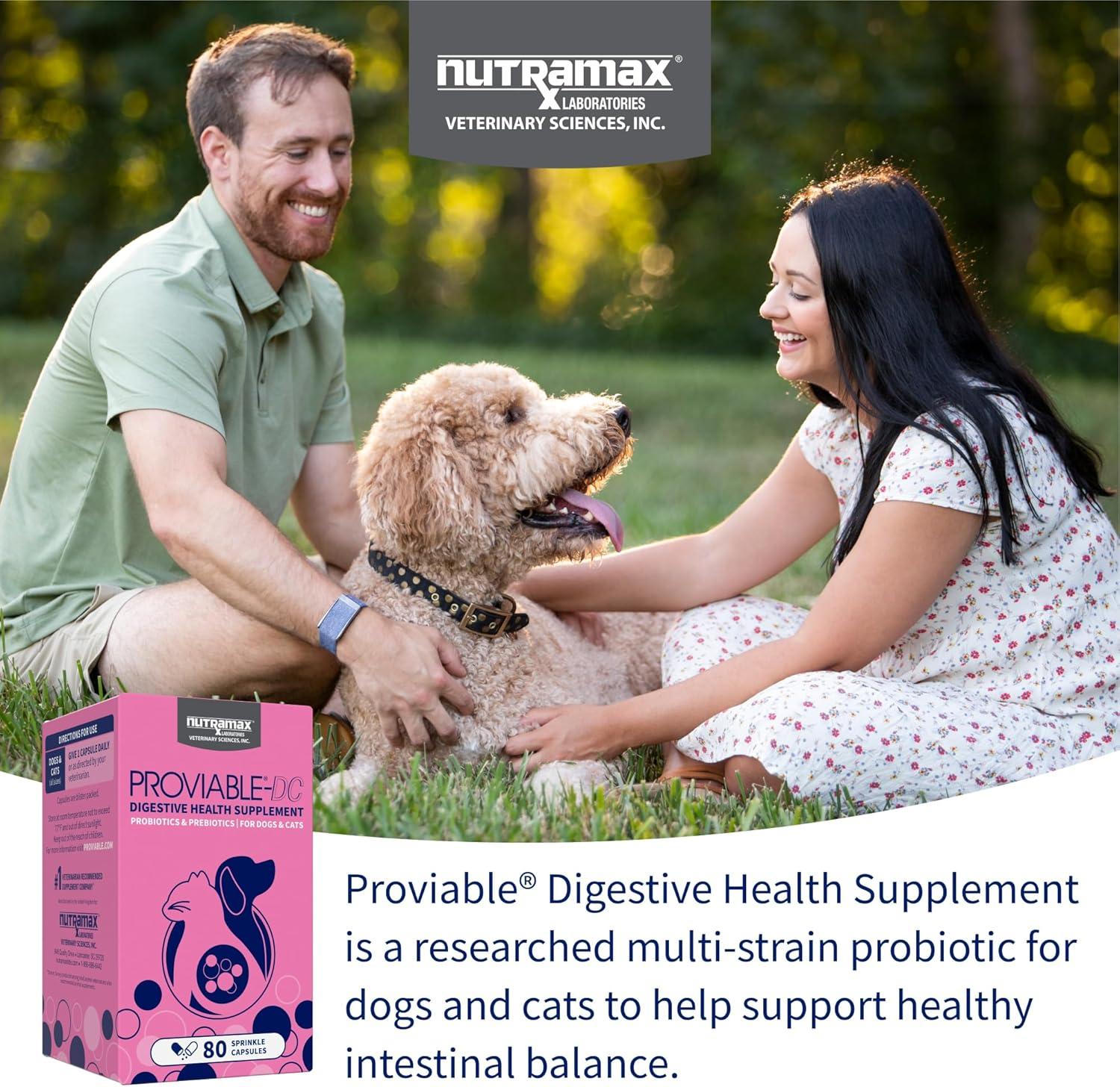 image:imageNutramax Proviable Probiotics for Dogs and Cats Daily Digestive Health Supplement with Multiple Strains of Bacteria Cat and Dog Probiotics Plus Prebiotics 80 Capsules80 Count
