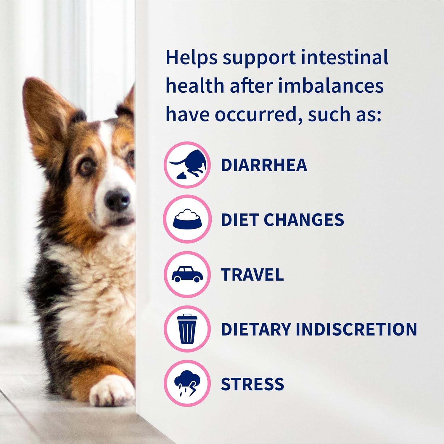 image:imageNutramax Proviable Probiotics for Dogs and Cats Daily Digestive Health Supplement with Multiple Strains of Bacteria Cat and Dog Probiotics Plus Prebiotics 80 Capsules30 Count