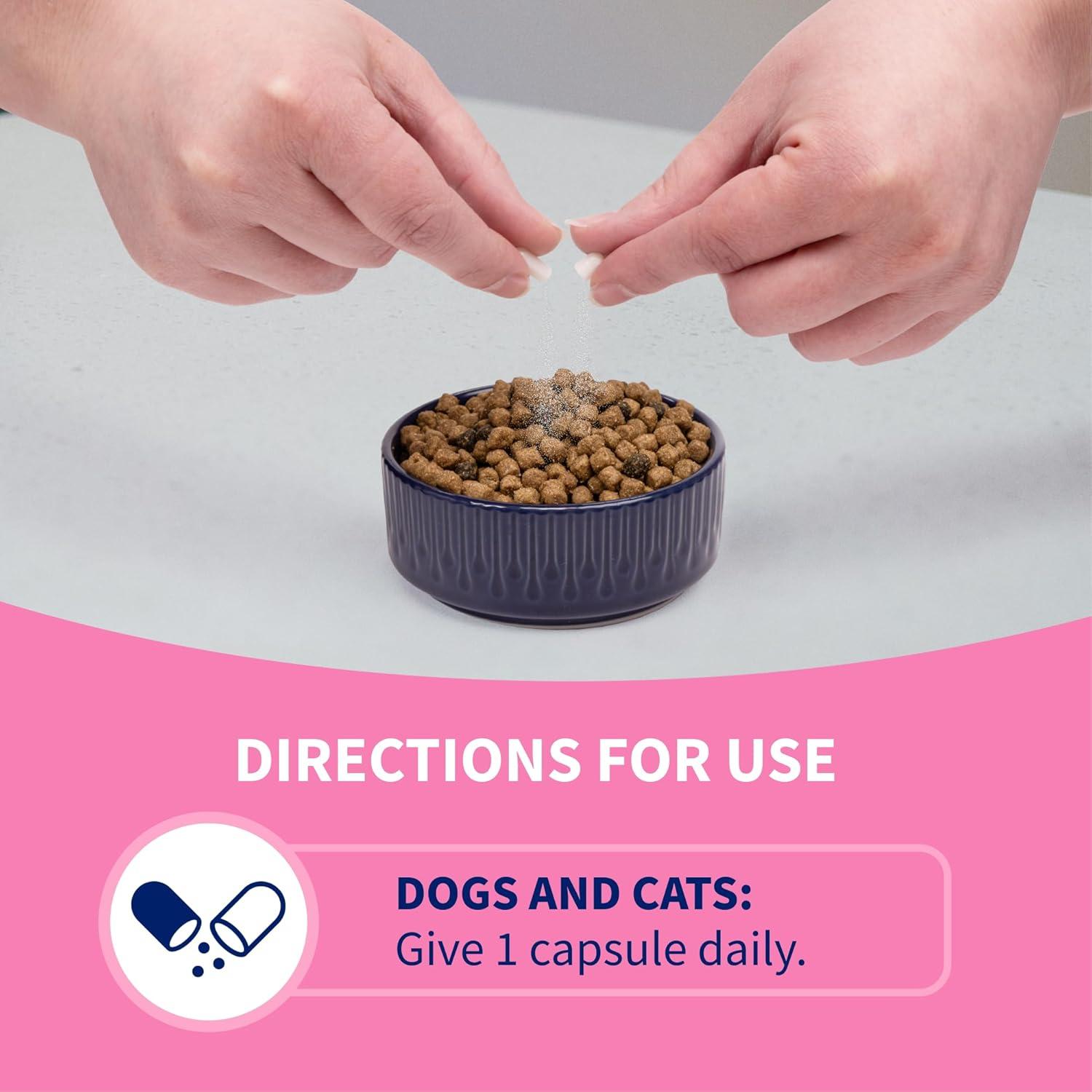 image:imageNutramax Proviable Probiotics for Dogs and Cats Daily Digestive Health Supplement with Multiple Strains of Bacteria Cat and Dog Probiotics Plus Prebiotics 80 Capsules80 Count