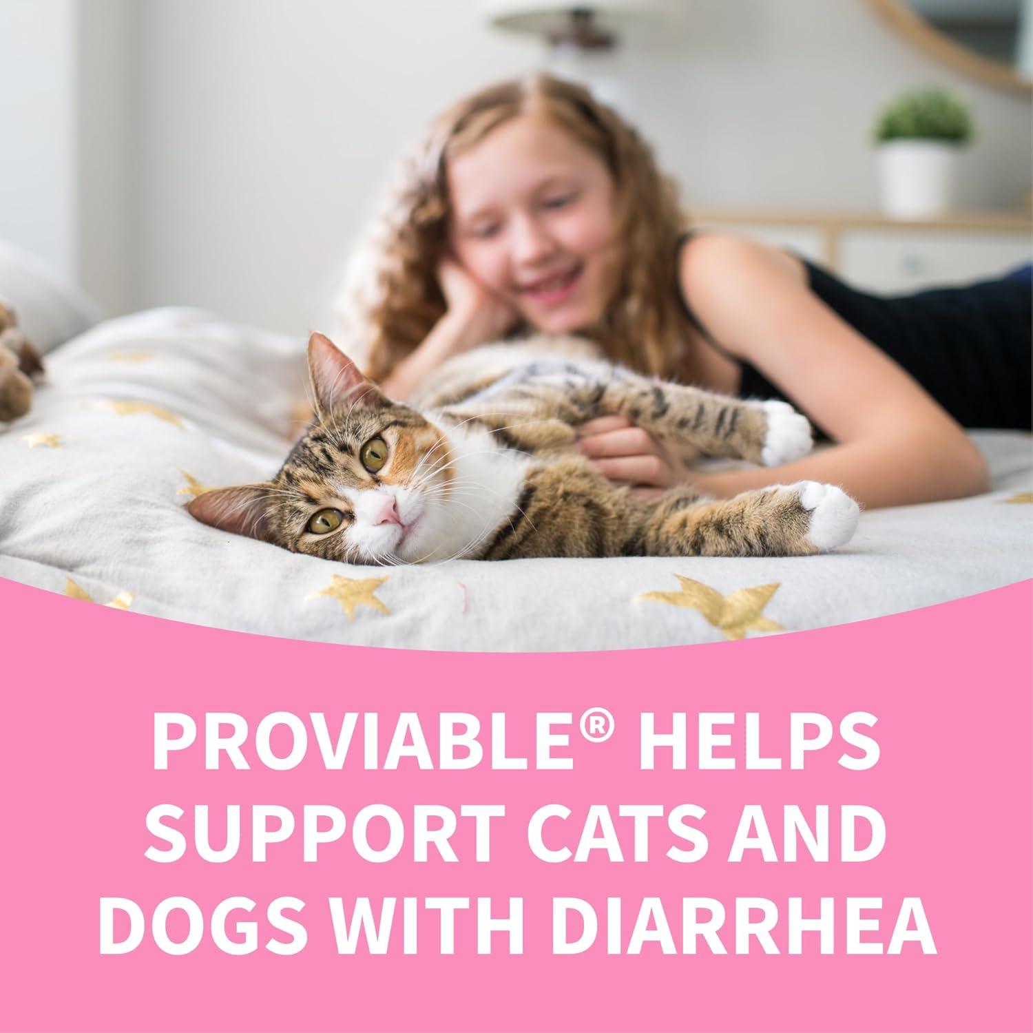 image:imageNutramax Proviable Probiotics for Dogs and Cats Daily Digestive Health Supplement with Multiple Strains of Bacteria Cat and Dog Probiotics Plus Prebiotics 80 Capsules80 Count