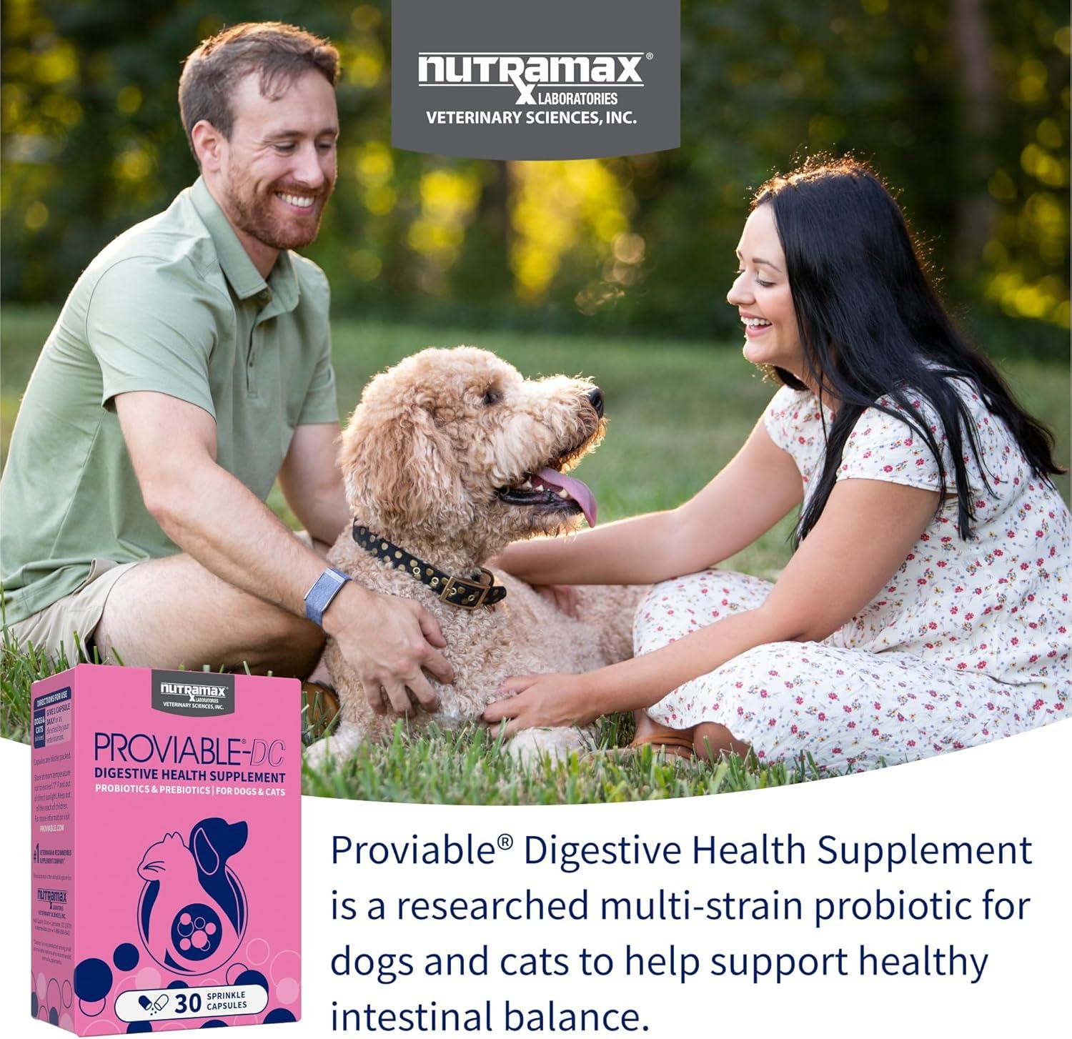 image:imageNutramax Proviable Probiotics for Dogs and Cats Daily Digestive Health Supplement with Multiple Strains of Bacteria Cat and Dog Probiotics Plus Prebiotics 80 Capsules30 Count
